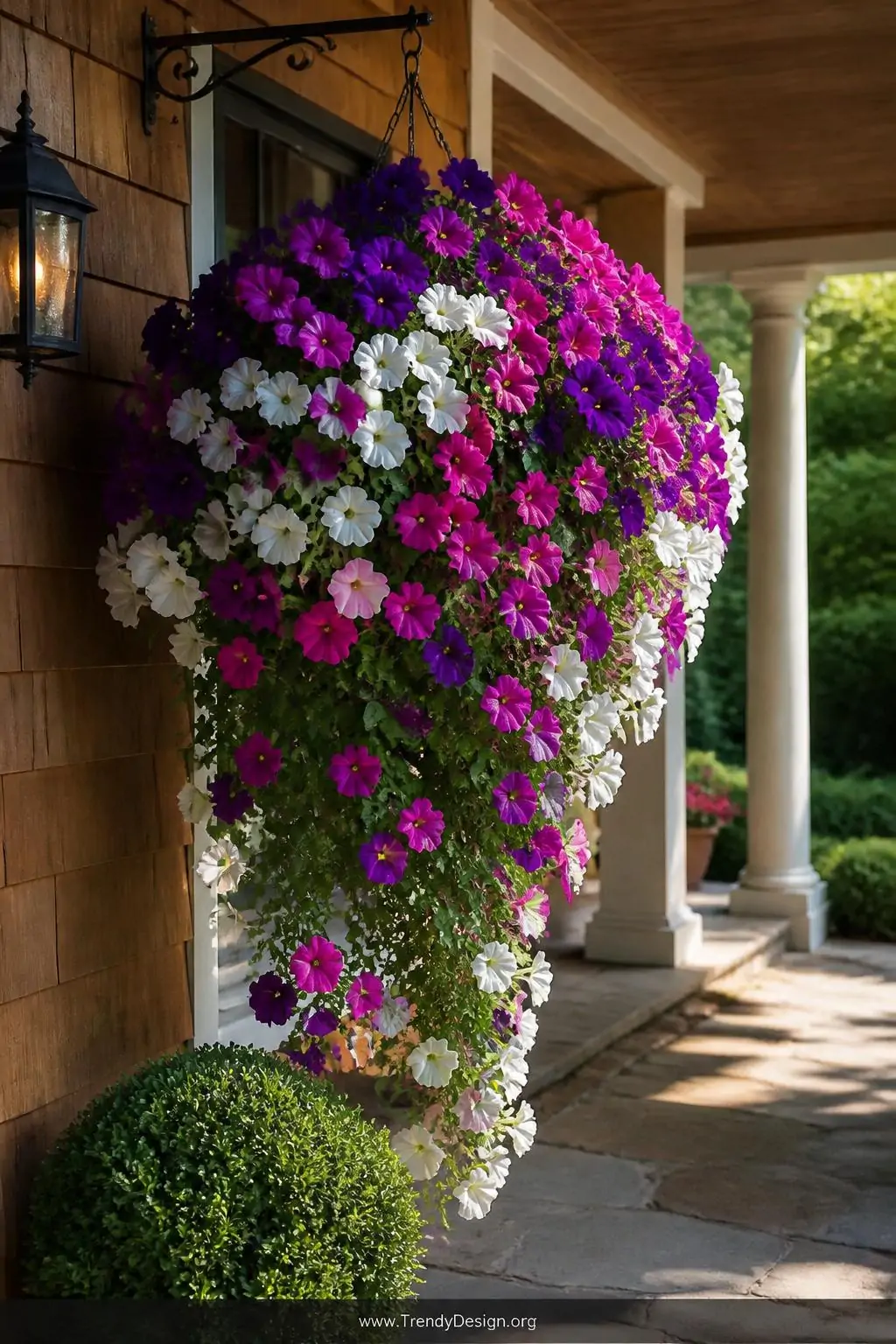 7 Beautiful Hanging Basket Ideas for Flowers That Will Transform Your Outdoor Space