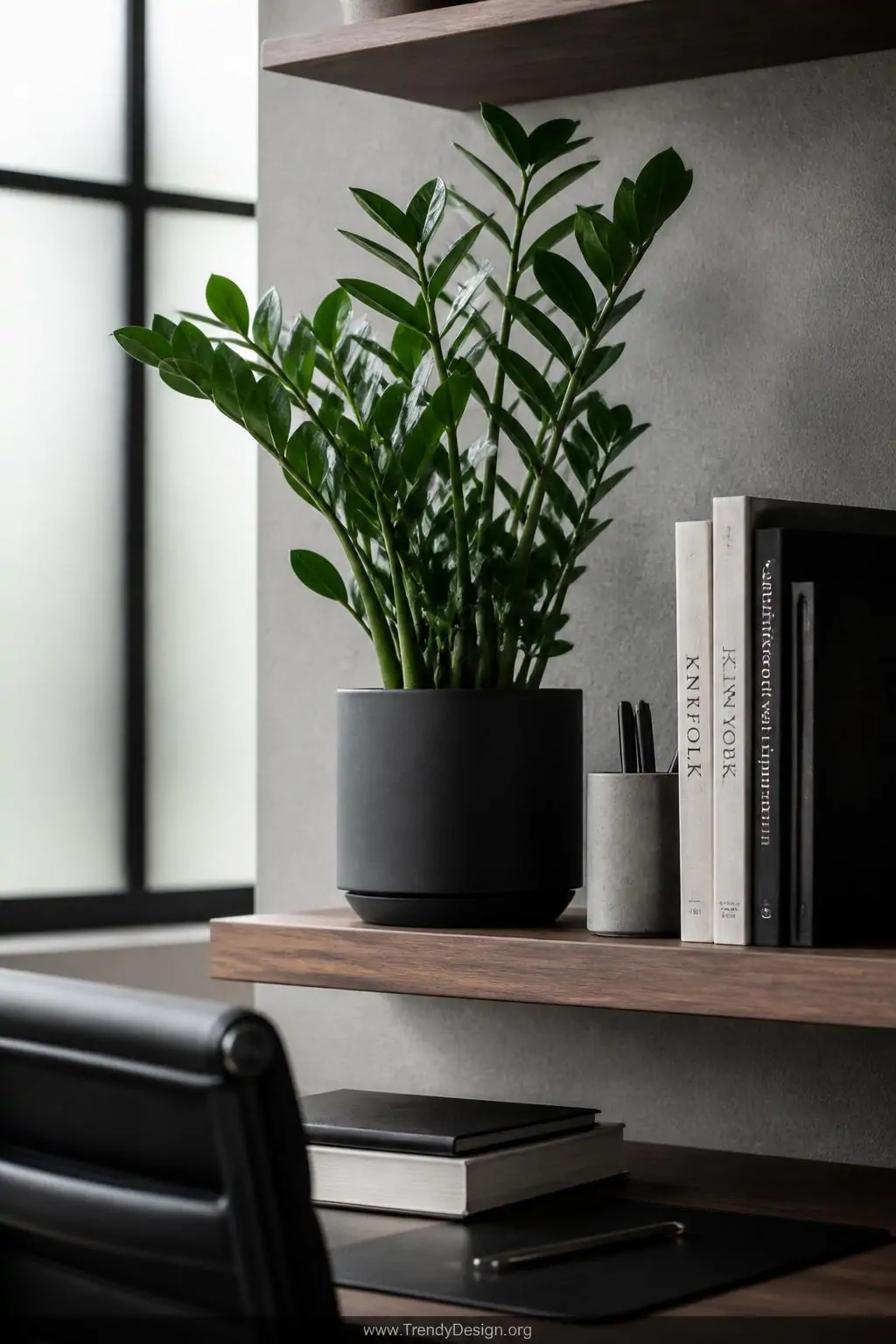 A medium-shot home office nook featuring a ZZ plant with intensely glossy dark-green waxy leaves cascading upward from a slee