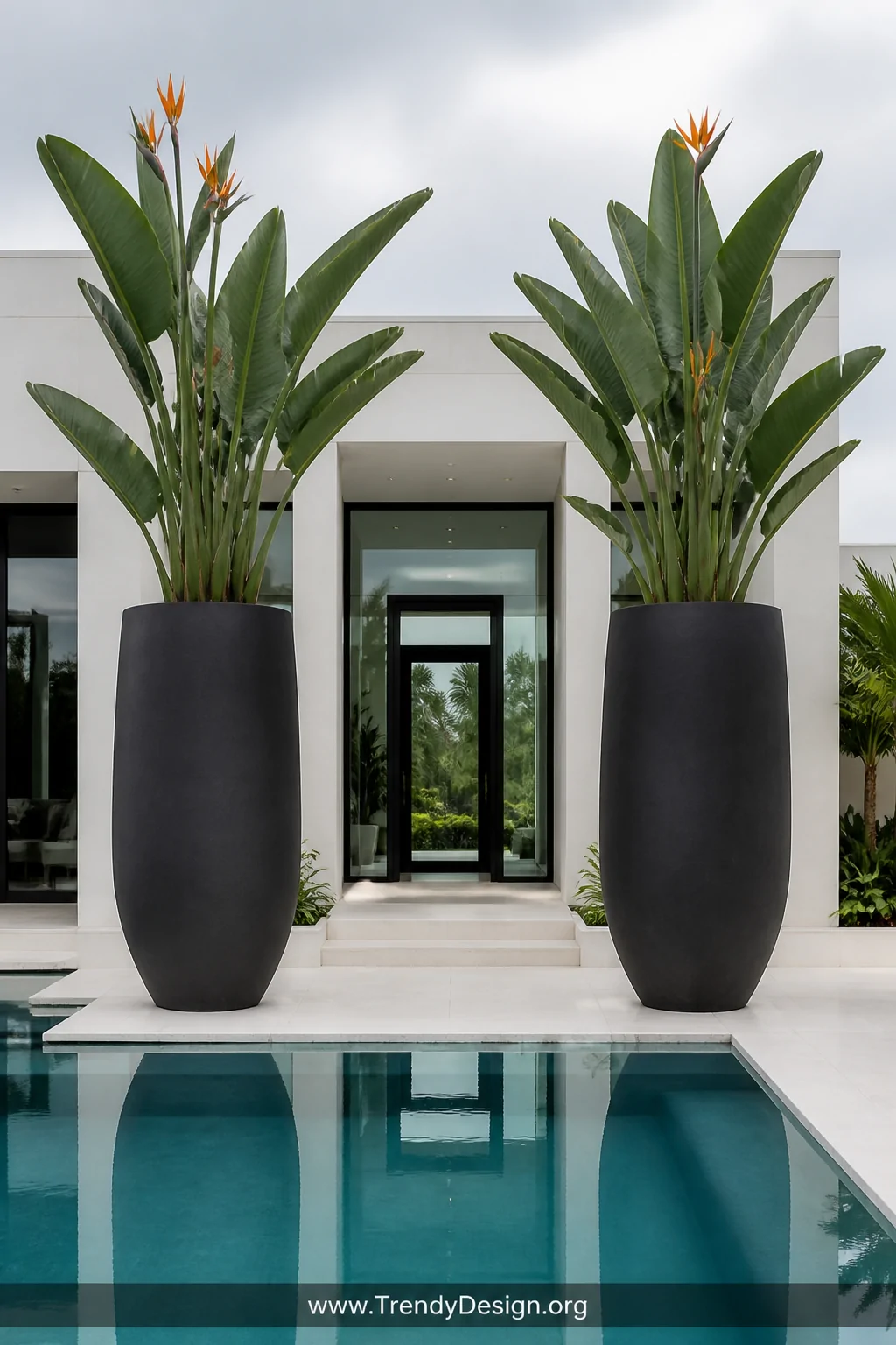 Medium photorealistic shot of a sleek contemporary pool entrance flanked symmetrically by two towering matte charcoal fibergl