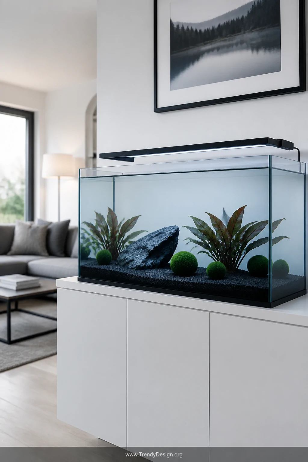 Medium shot of a sleek modern aquarium on a minimalist white cabinet, featuring clean black substrate, a single smooth slate 