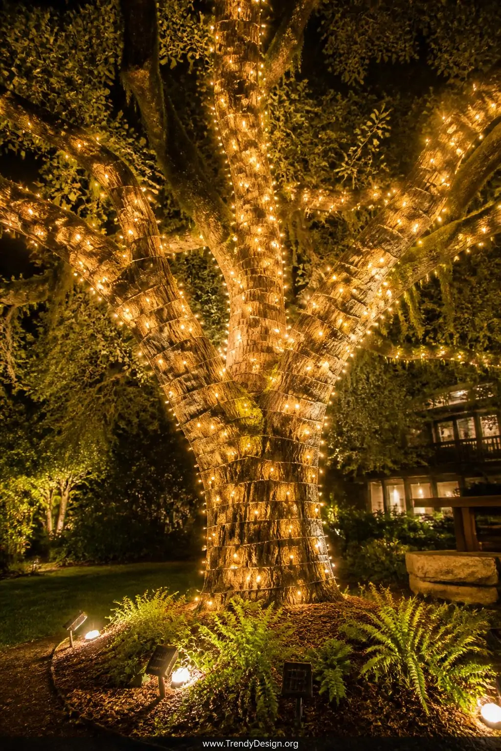 Medium photorealistic shot of a mature oak tree at night with warm amber and soft white string lights spiraled tightly around