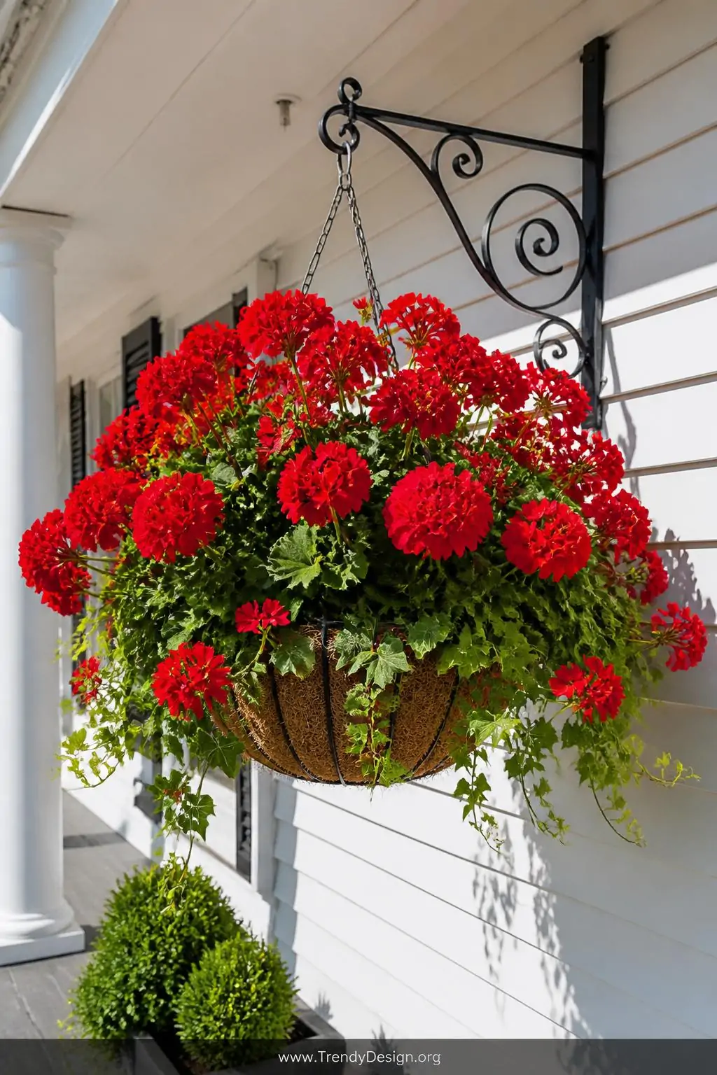 A wide-shot photorealistic exterior scene of a bright full-sun porch showcasing a large 14-inch wire hanging basket densely p