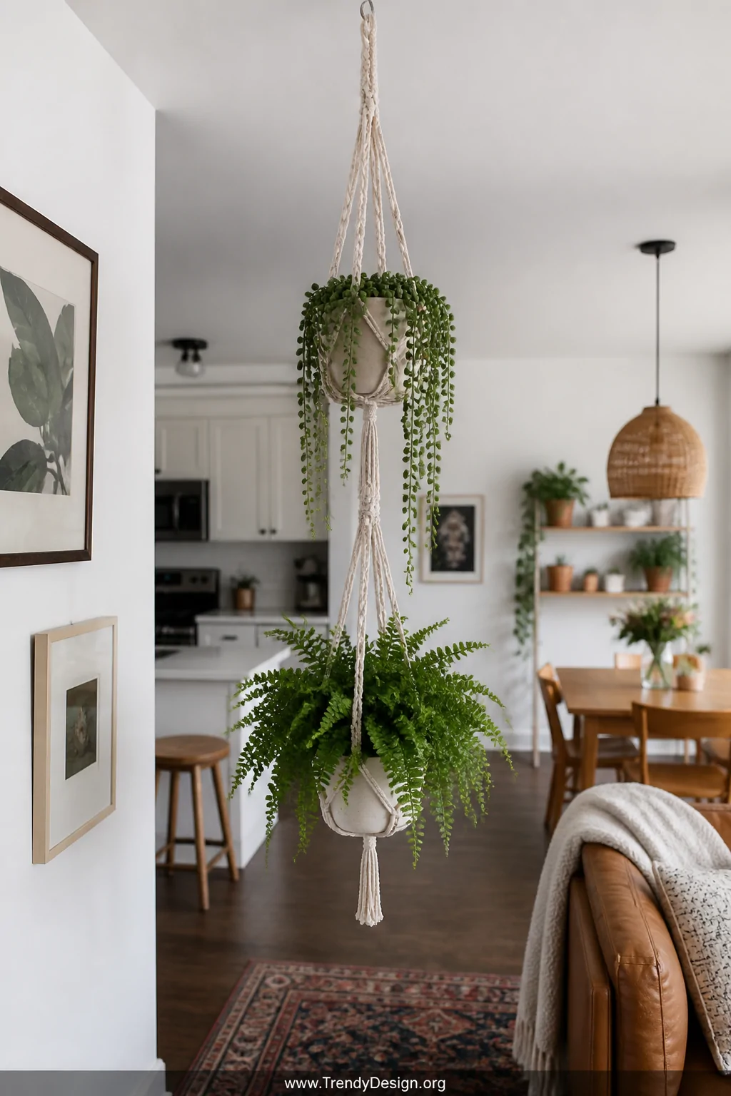 A wide room shot of a small apartment interior showcasing a double-decker macrame plant hanger suspended from the ceiling, ho