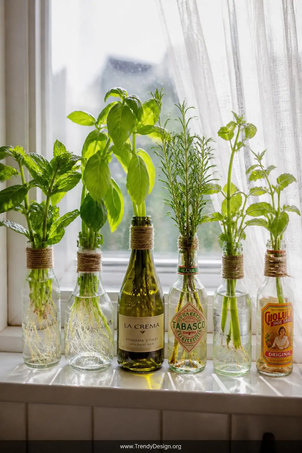 Closeup shot of a sunlit kitchen windowsill lined with small mismatched glass bottles including mini wine bottles and hot sau