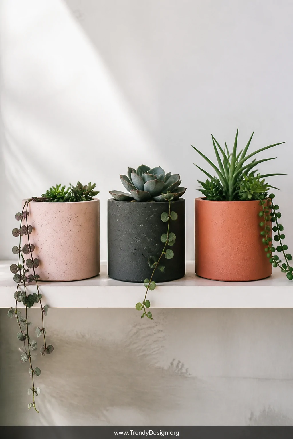 Medium shot of a minimalist shelf styled with three DIY concrete planters in blush, charcoal, and terracotta tones, each hold