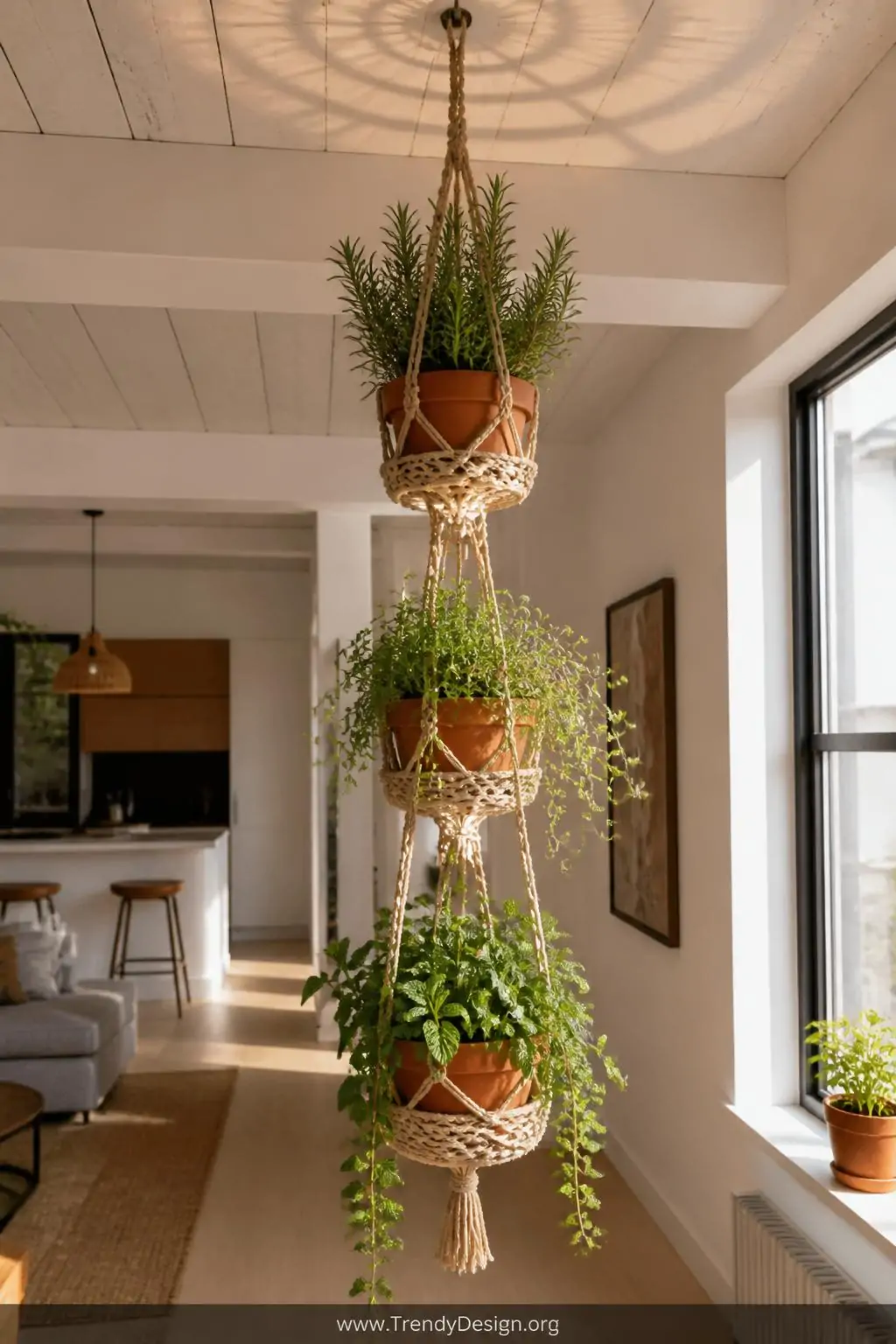 Wide shot of a sunlit apartment interior with exposed white ceiling from which three tiered macramé hanging planters cascade 