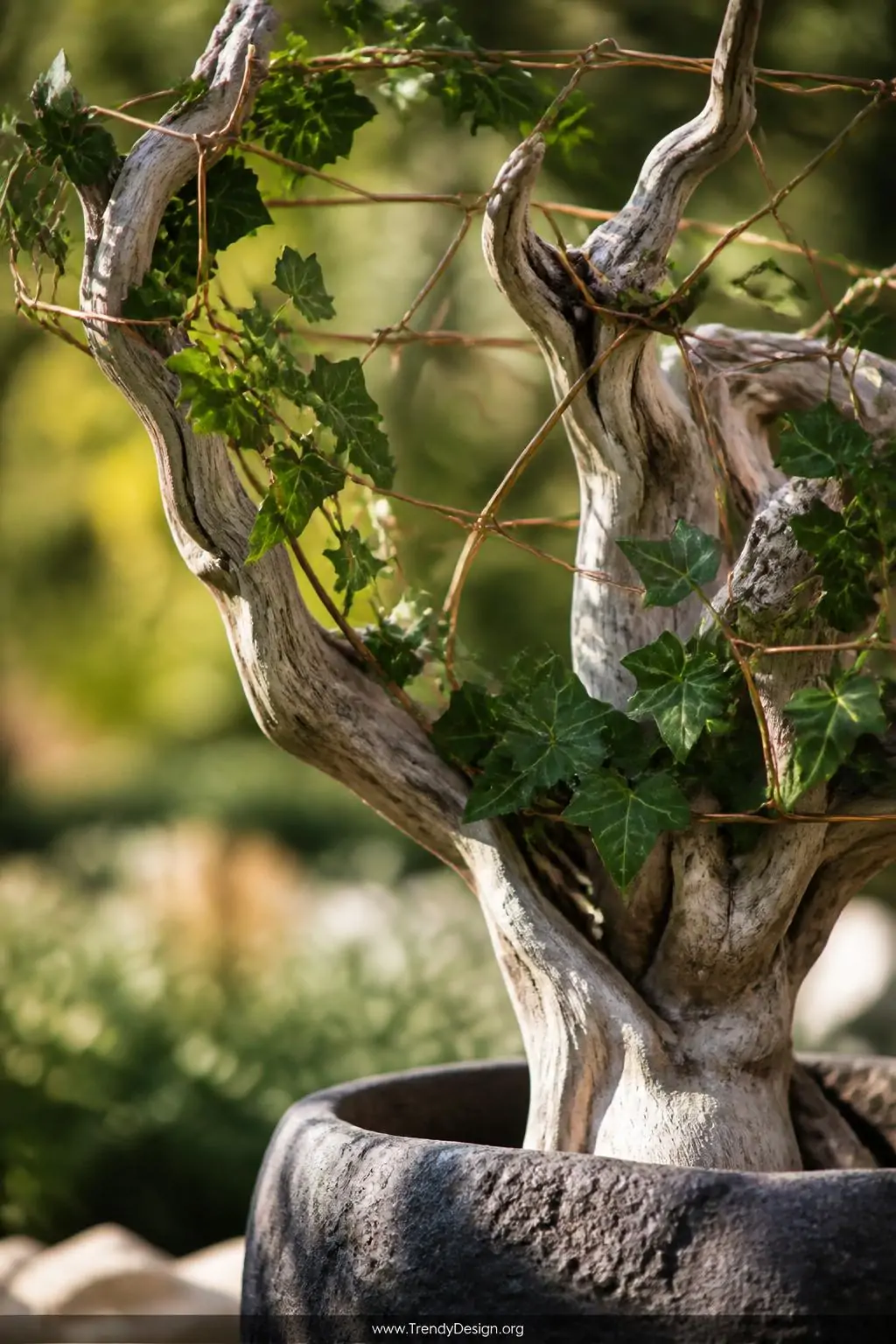 A close-up shot of a dramatically textured pale grey driftwood branch anchored in a heavy stone pot, thin copper wire catchin