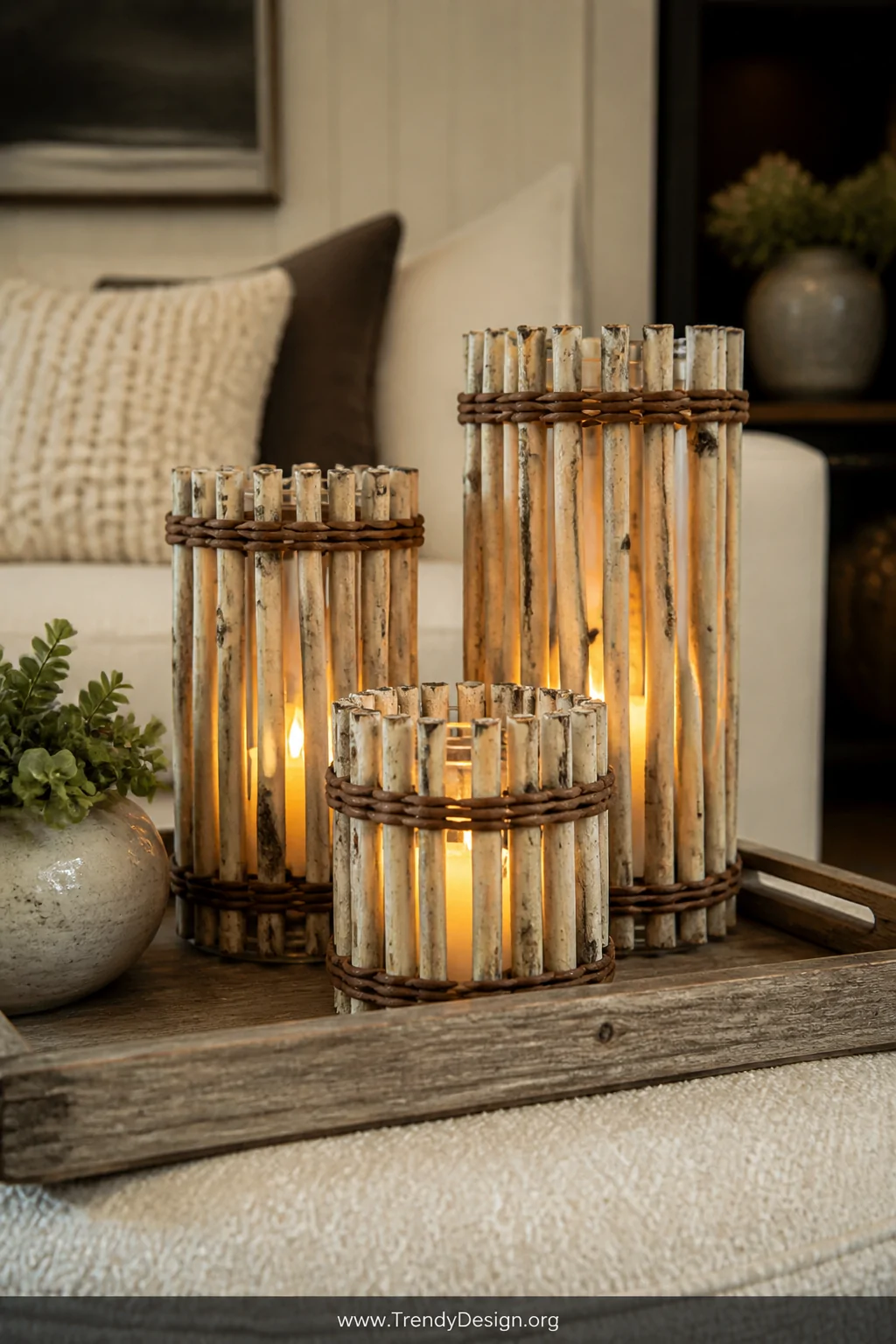A styled coffee table vignette featuring three cylindrical glass jars wrapped tightly in bundles of pale birch sticks bound w