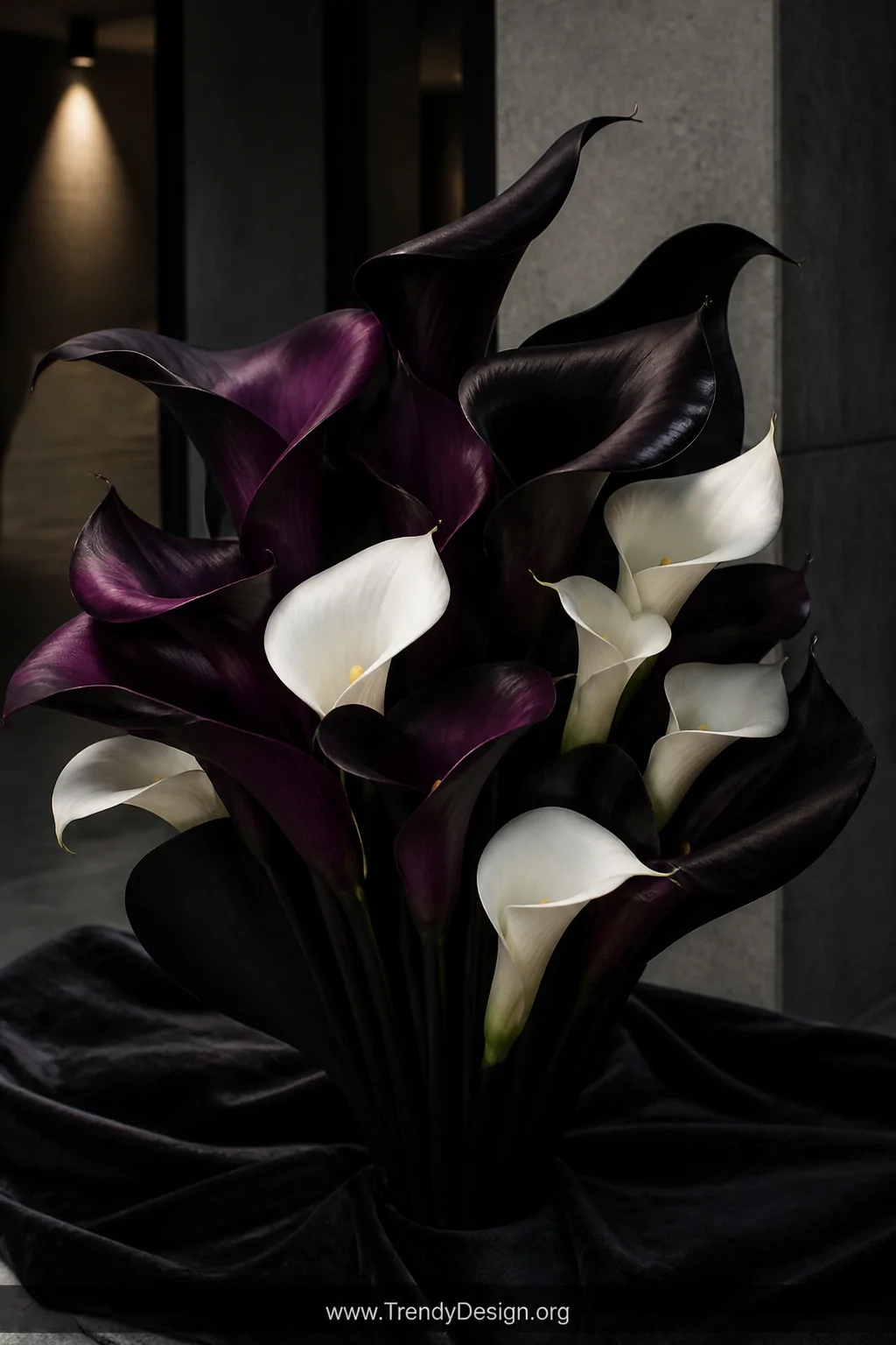 An all-dark dramatic bouquet of deep black-purple calla lilies contrasted with single white calla stems, dramatically display