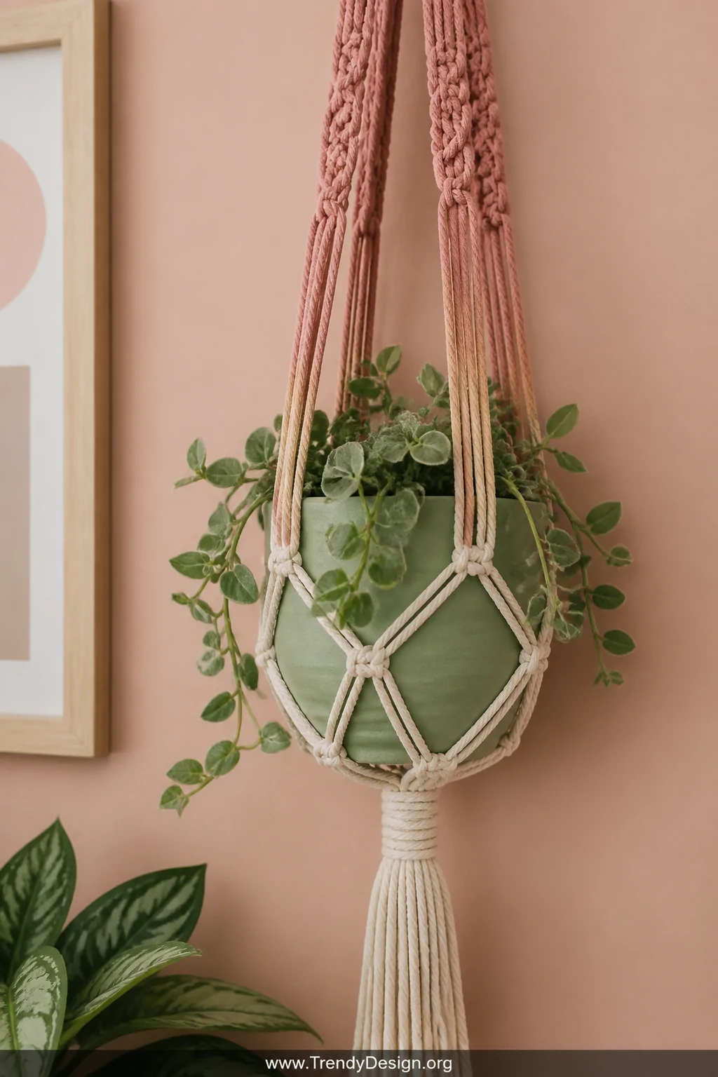 A medium detail shot of a dip-dyed ombre macrame plant hanger transitioning from dusty rose to natural cream rope, cradling a