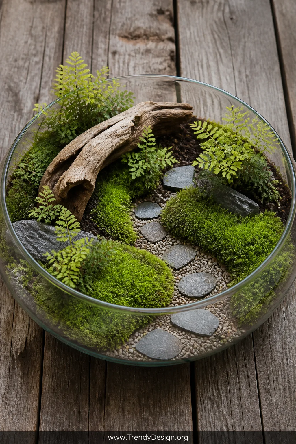 Wide overhead shot of a wide shallow glass container terrarium arranged on a reclaimed wood surface, featuring a miniature wo