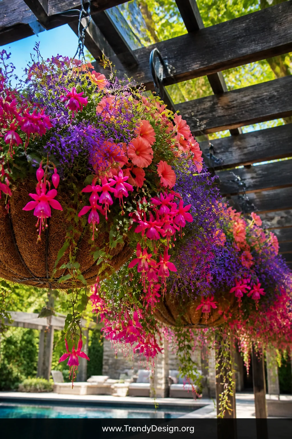 Closeup photorealistic shot looking upward at lush hanging basket planters suspended from dark weathered pergola beams above 