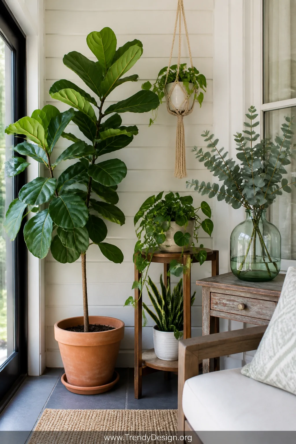 Detail-level photorealistic shot of a styled enclosed porch corner showcasing a tall fiddle leaf fig in a terracotta pot besi