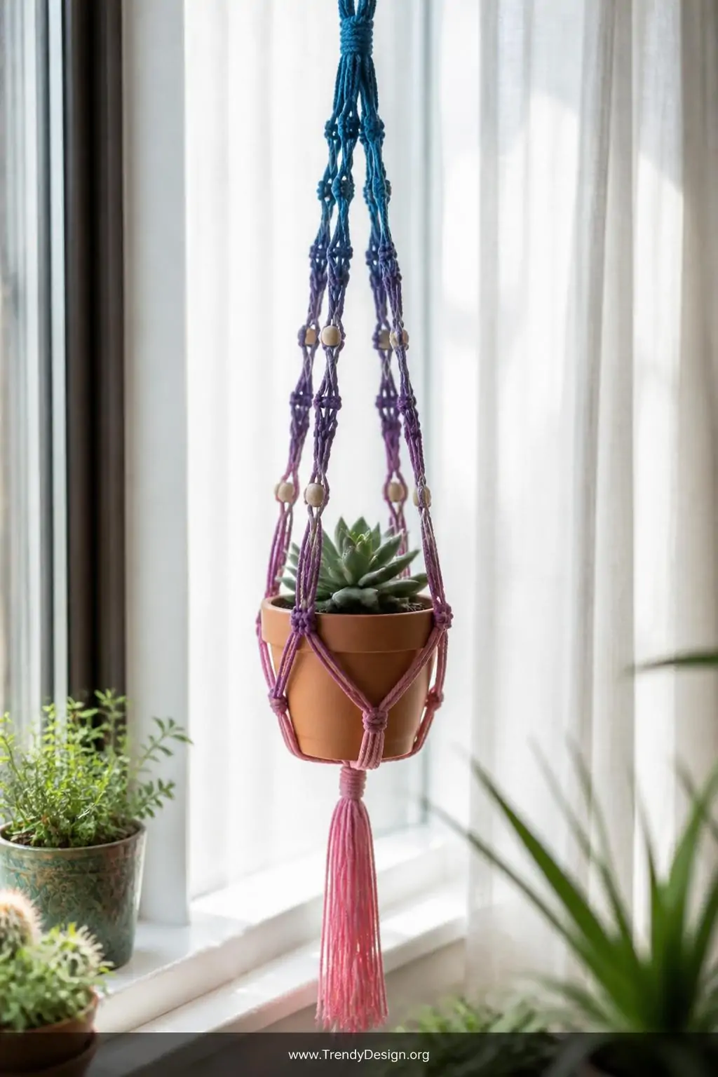 Medium shot of a sun-filled windowsill with a delicate embroidery floss macramé plant hanger suspending a small terracotta su