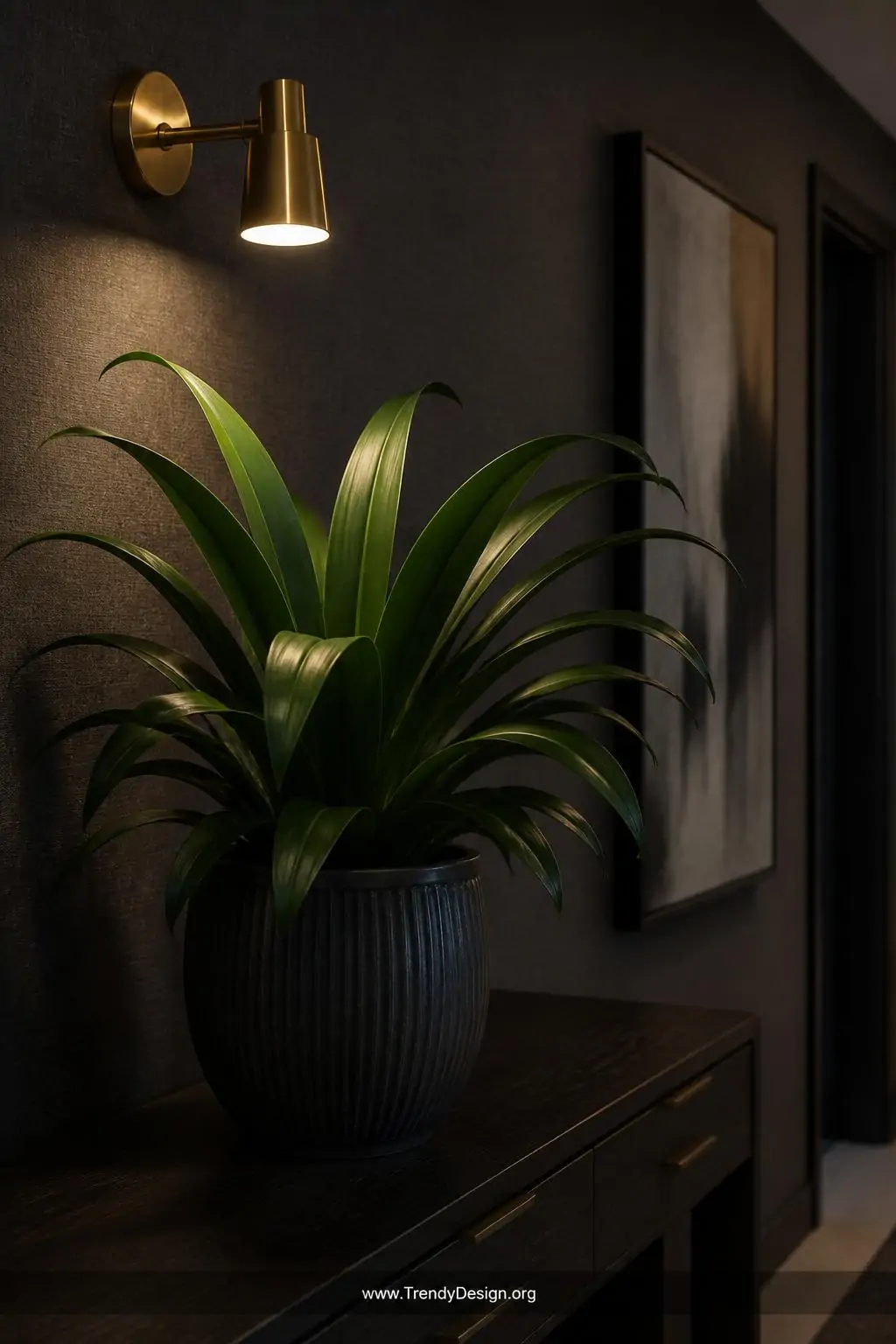 A medium-shot dark hallway transformed by a cast iron plant with broad, deep forest-green strappy leaves growing from a deep 