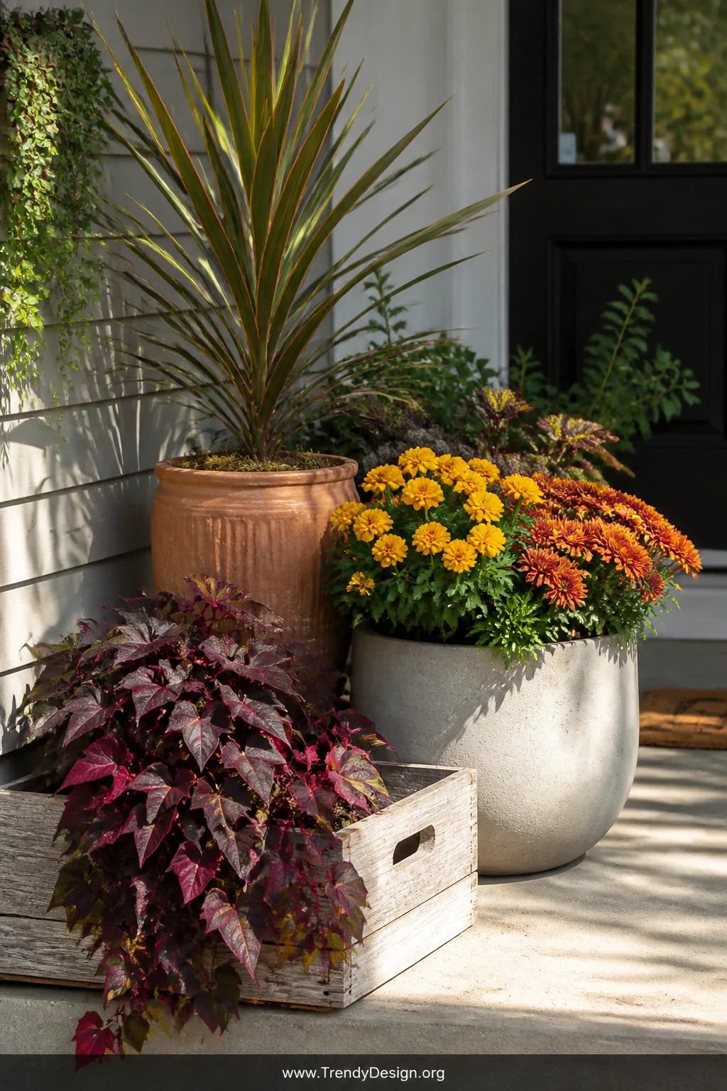 A close-up beauty shot of a lush three-pot container garden arrangement on a small front porch, a tall spiky dracaena spike r