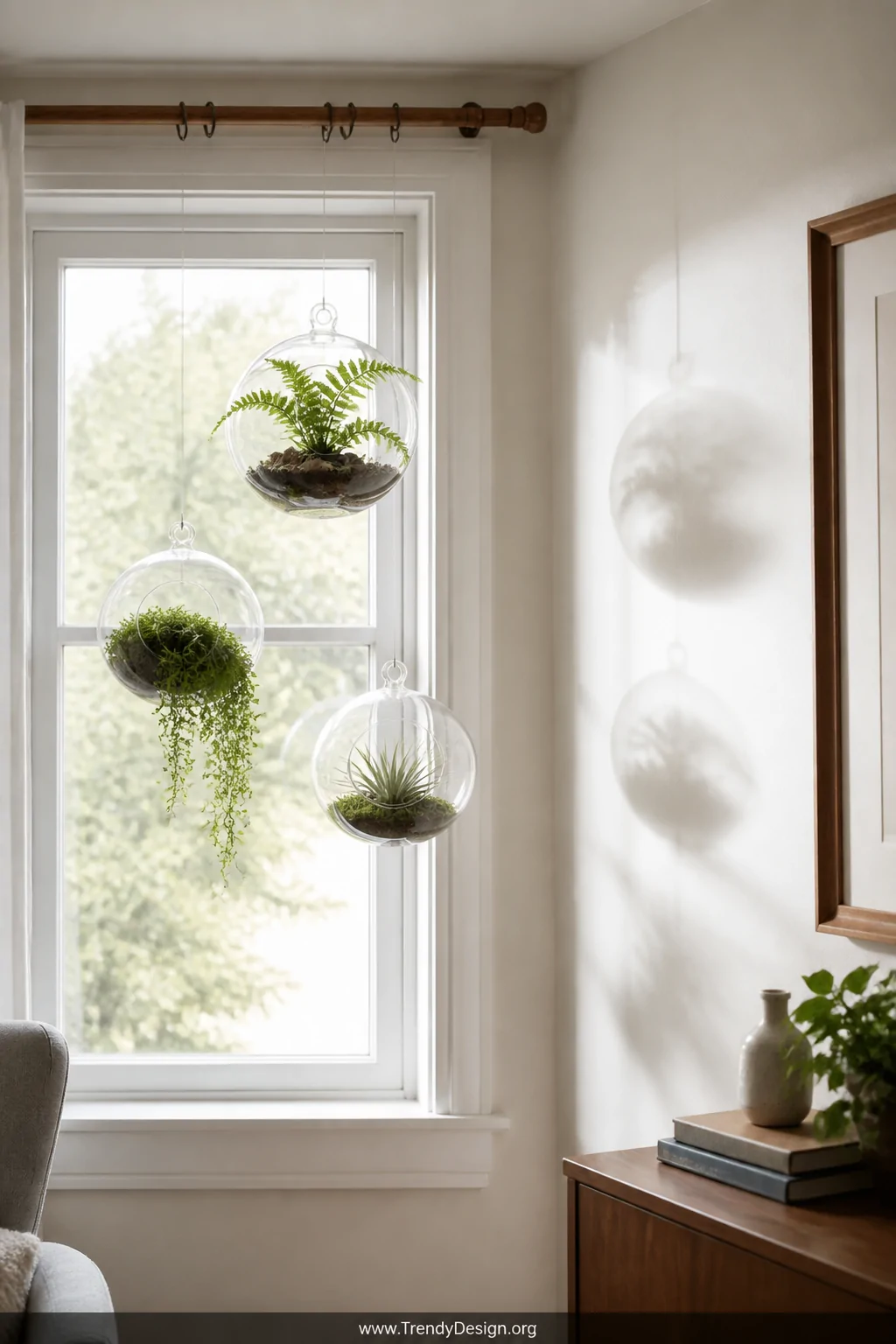 Wide interior shot looking toward a sunlit window where three glass globe terrariums hang at varying heights from a wooden cu