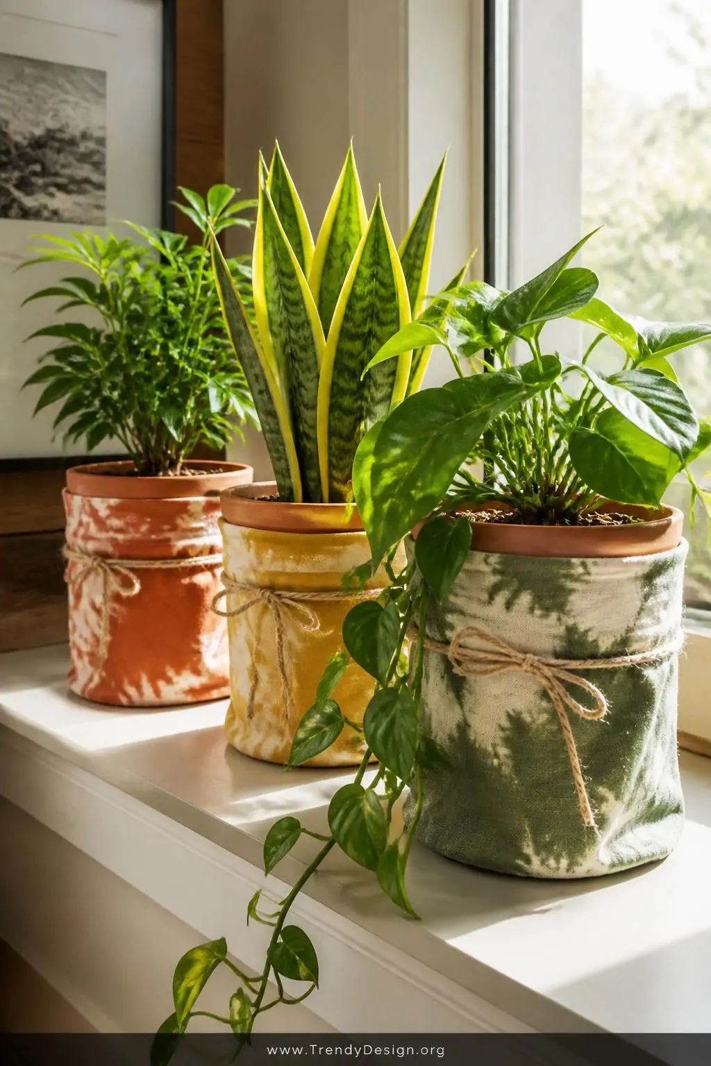 Closeup shot of a sunlit windowsill styled with three lush houseplants wrapped in hand-dyed canvas pot covers in coordinating