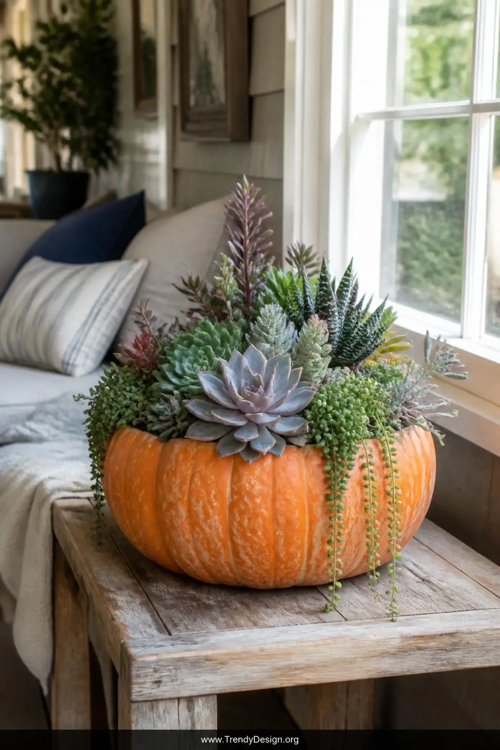 A medium-shot photorealistic interior of a sunlit covered porch featuring a large hollowed orange pumpkin planter overflowing