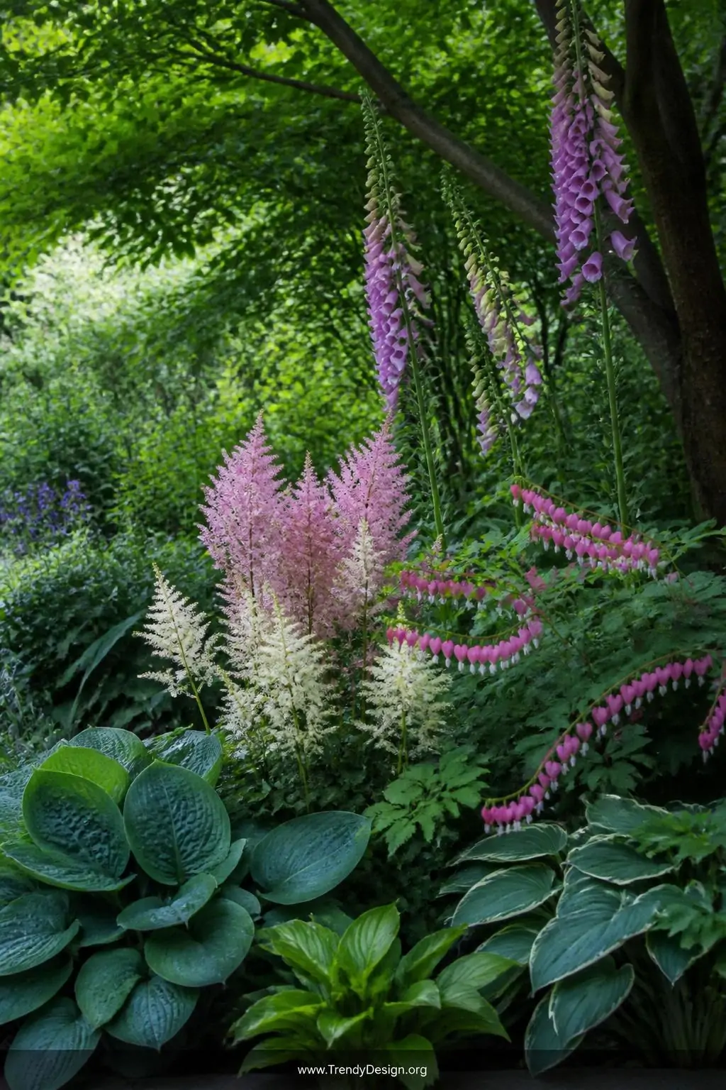 Medium shot of a lush shady garden border beneath a dense tree canopy, tall pink and white astilbe plumes rising above broad 