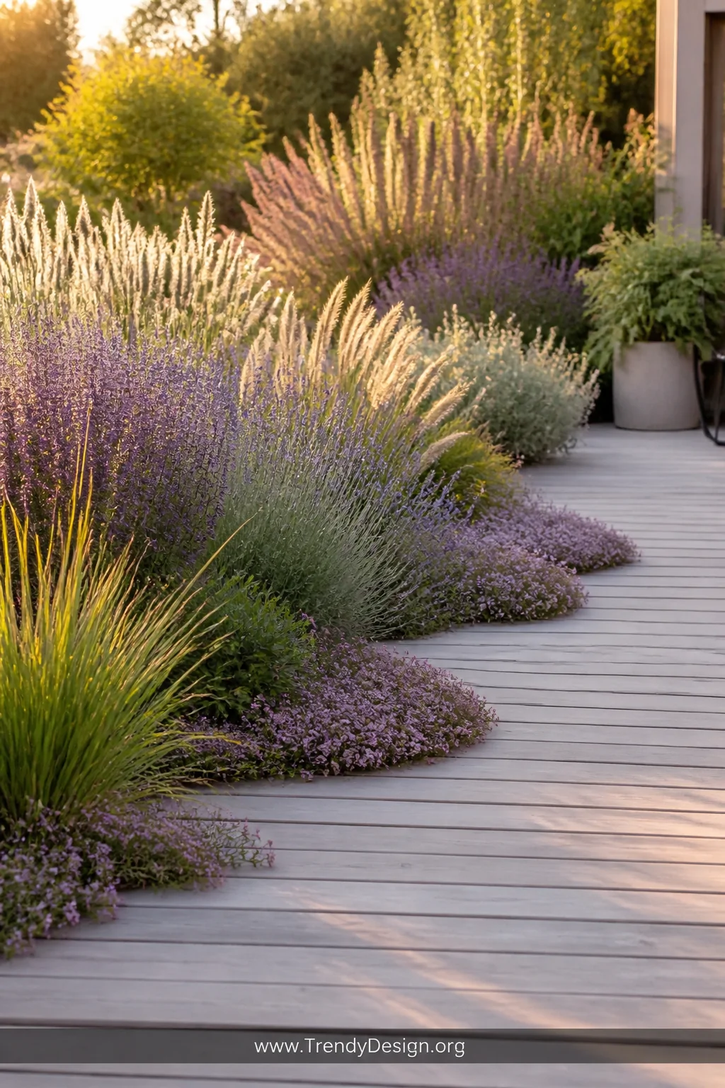 Wide shot of a timber deck seamlessly dissolving into a cascading layered garden border, tall ornamental grasses swaying in s