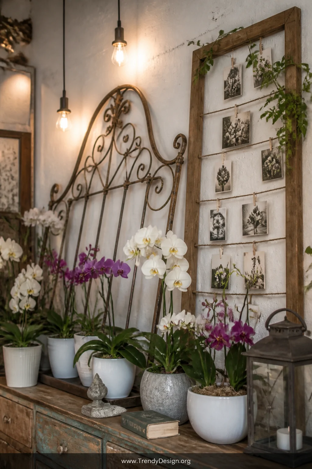 A wide eclectic vignette shot of a small ornate wrought-iron vintage headboard leaned dramatically against a whitewashed wall