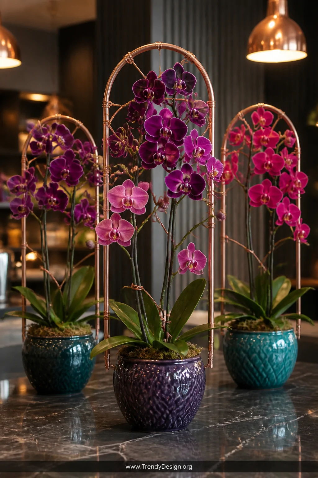 A medium shot of a handcrafted copper pipe arch trellis supporting deep purple and pink orchid blooms, small-diameter copper 