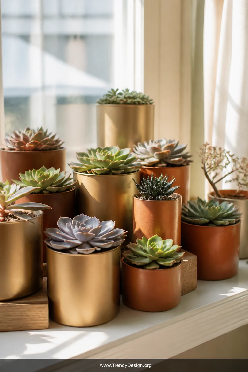 A sun-drenched windowsill styled with a tight cluster of miniature succulents planted in matte gold and terracotta spray-pain