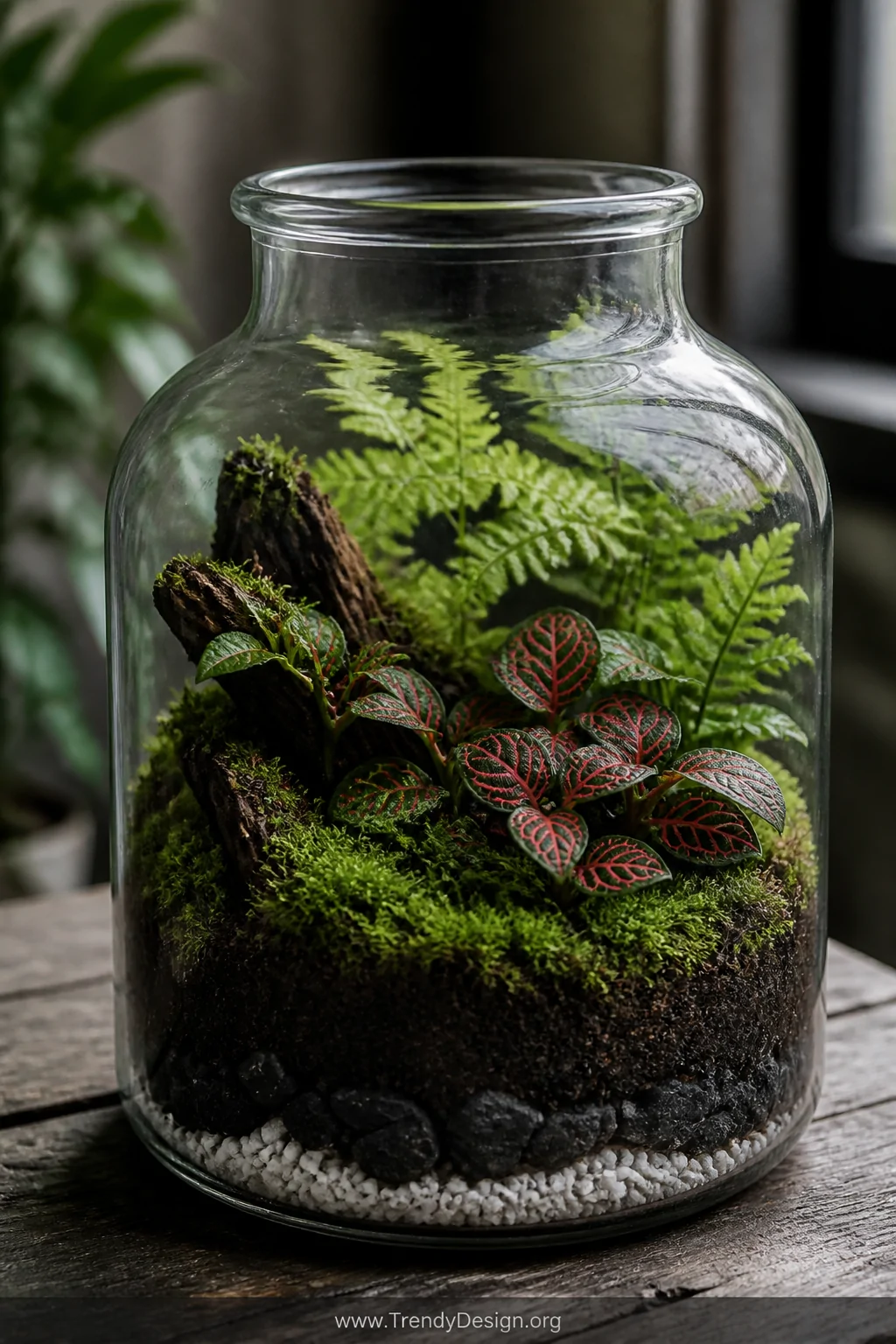 A close-up detail shot of a wide-mouth vintage glass bottle terrarium resting on a weathered wooden surface, layered interior
