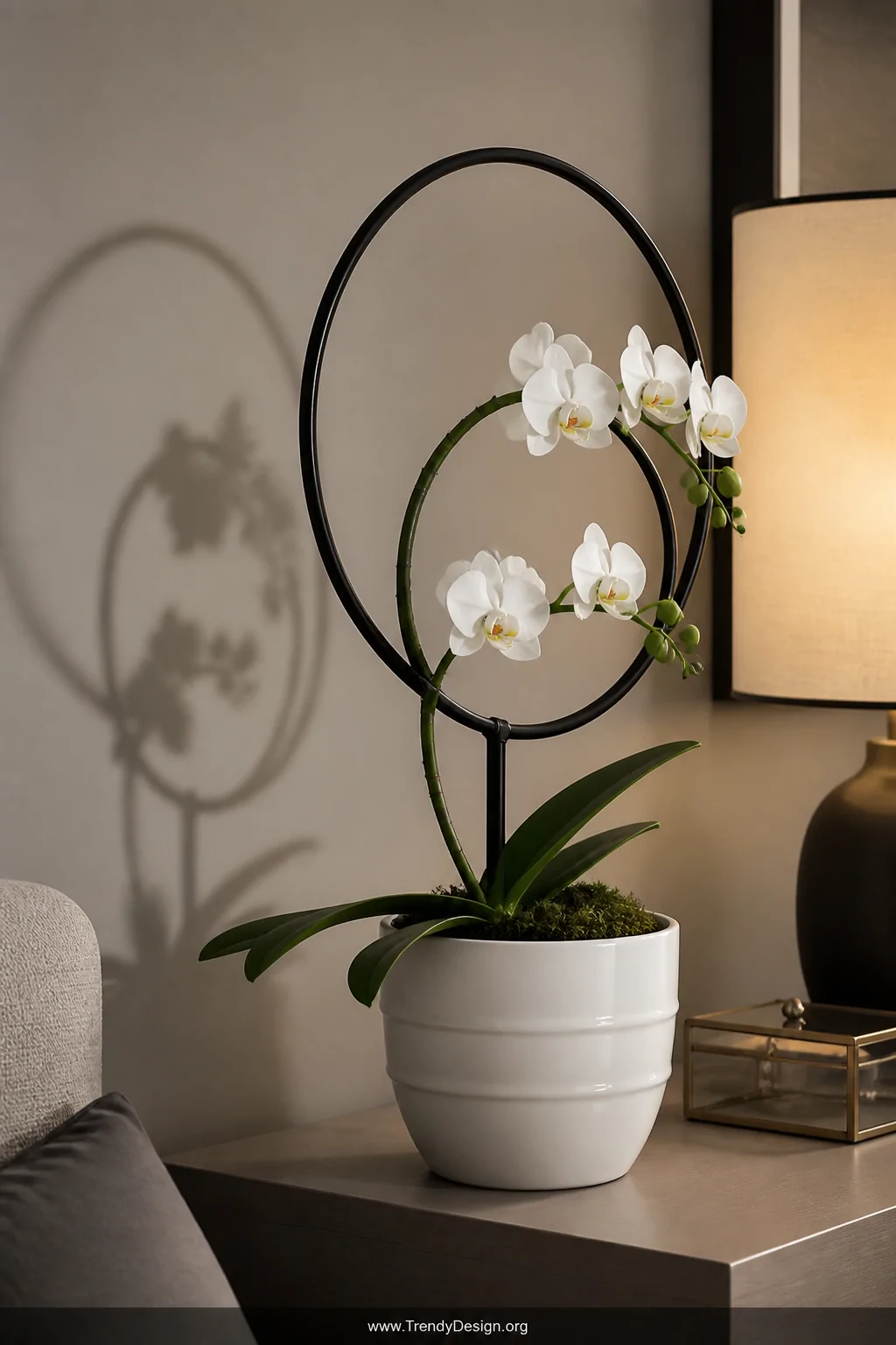 A close-up detail shot of two matte black metal hoop trellises of differing sizes inserted into a sleek white ceramic pot on 