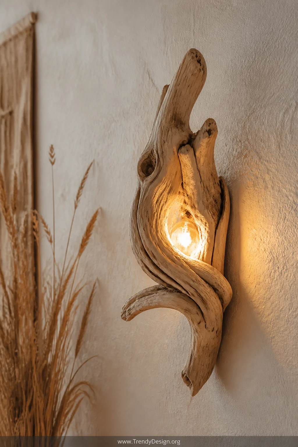 A detail closeup of a naturally curved driftwood wall sconce mounted flat against a textured plaster wall, a warm amber bulb 