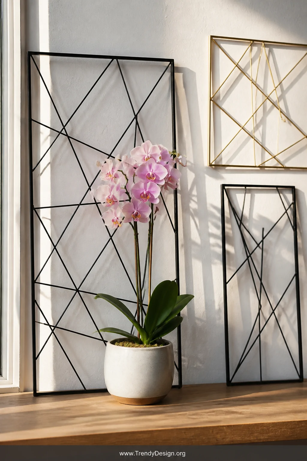 A medium shot of a matte black geometric wire grid panel leaning against a white plaster wall behind a ceramic orchid pot on 