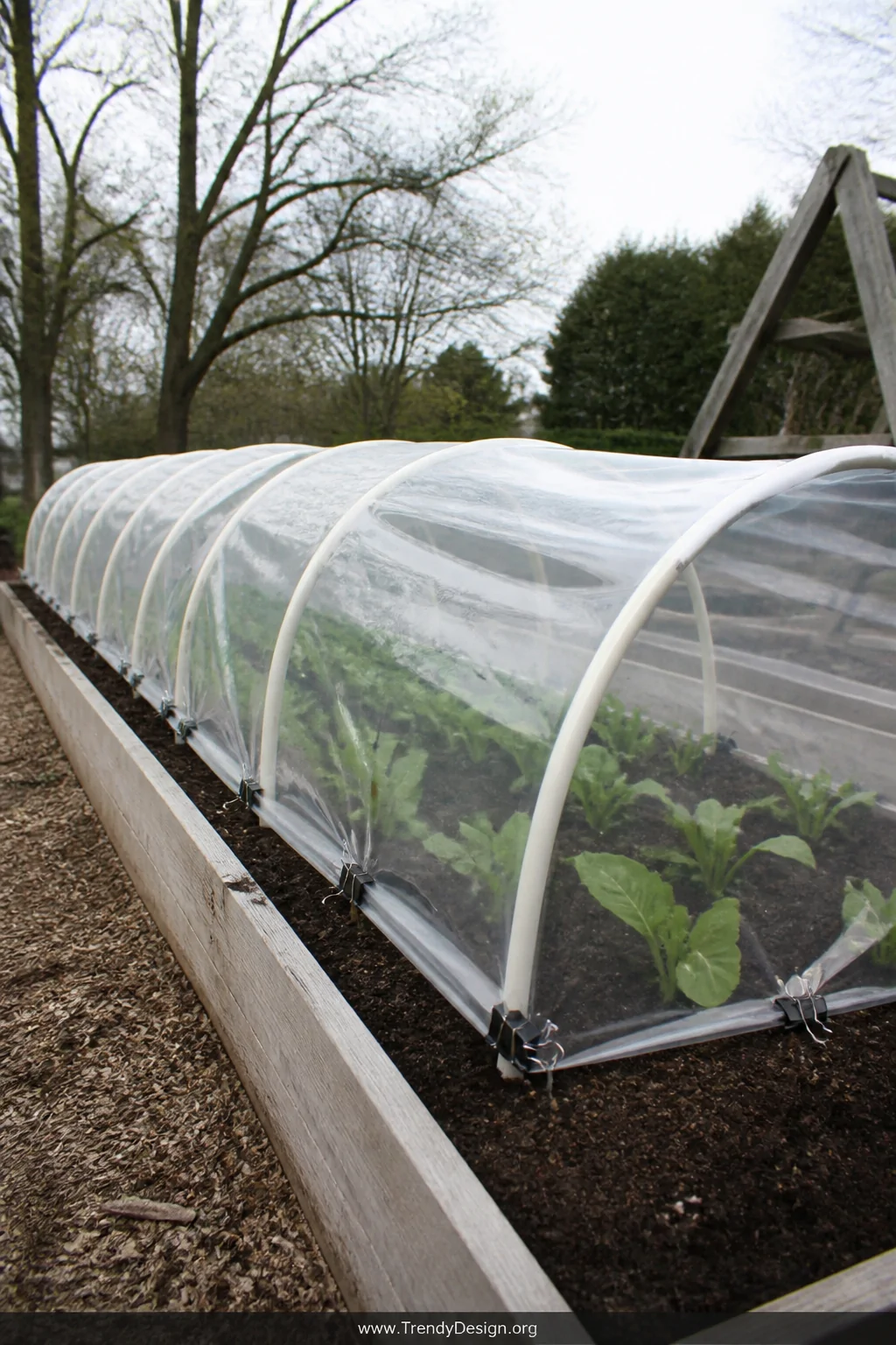 Wide shot of a low PVC pipe hoop house stretching across a long raised garden bed, flexible white pipes arching gracefully ov