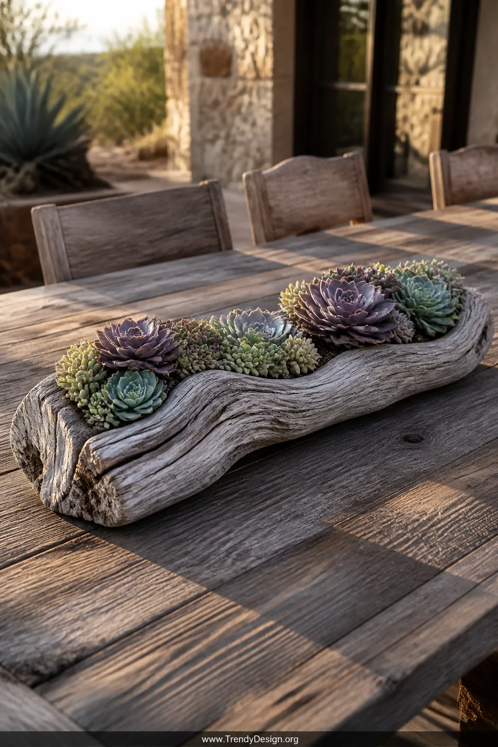 A medium shot of a textured, silvery-grey driftwood plank with natural crevices carved into shallow pockets, each holding ros