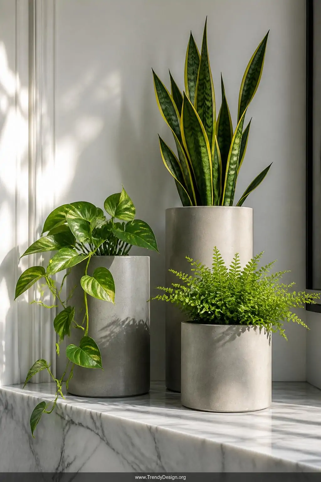 7 Concrete Planter Ideas That Will Transform Your Home and Garden