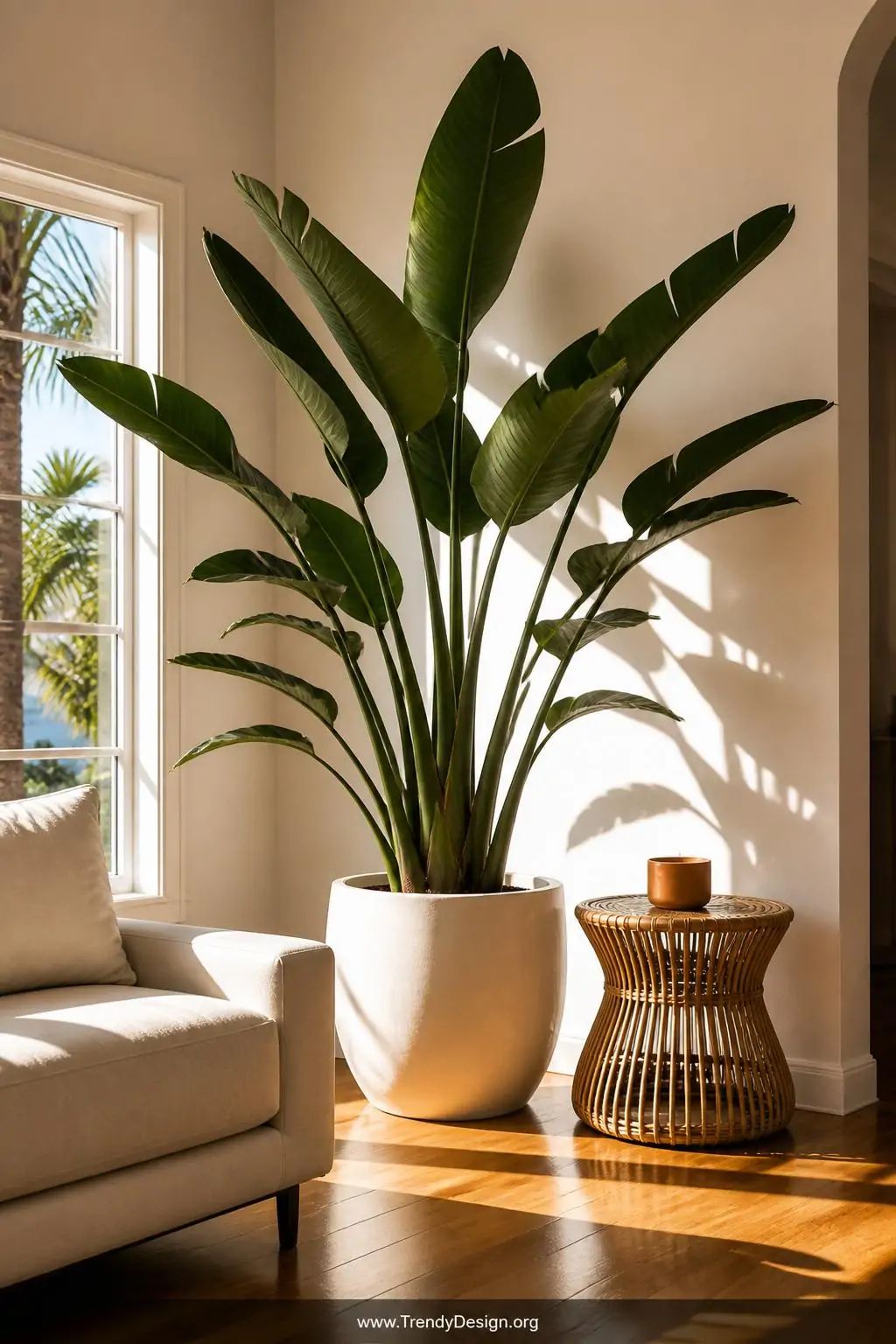 5 Inspiring Tropical Plant Decor Ideas That Make Any Room Feel Like a Getaway
