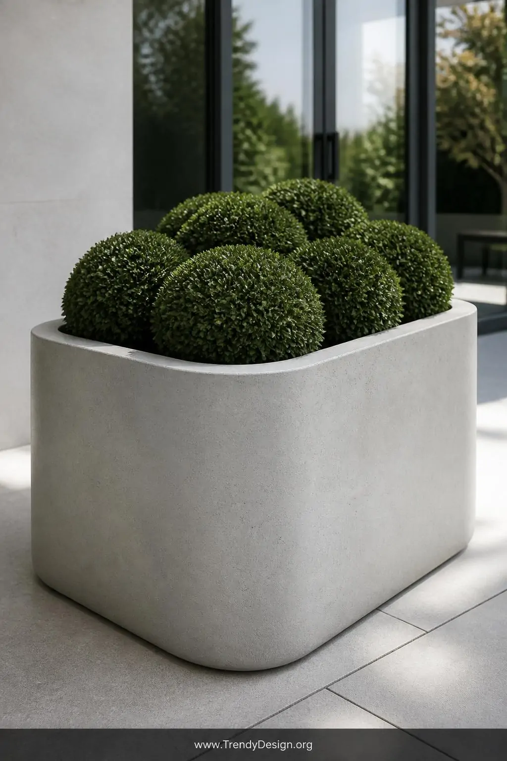 Smooth poured concrete raised planter with softly rounded corners on a minimalist patio, modern sculptural style, pale dove-gray seamless surface with a faint sheen from concrete sealer, structured dark green boxwood balls planted inside, soft natural daylight raking across the curved walls revealing the fine-aggregate texture, medium shot