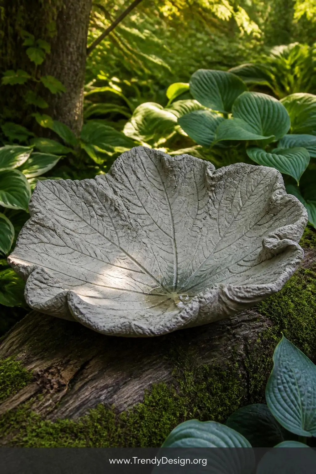 Large rhubarb leaf-cast concrete bird bath propped on a mossy log in a lush woodland garden, every vein and ridge of the leaf preserved in pale gray concrete, surrounded by deep green hosta plants and dappled golden afternoon sunlight filtering through tree canopy, closeup shot.