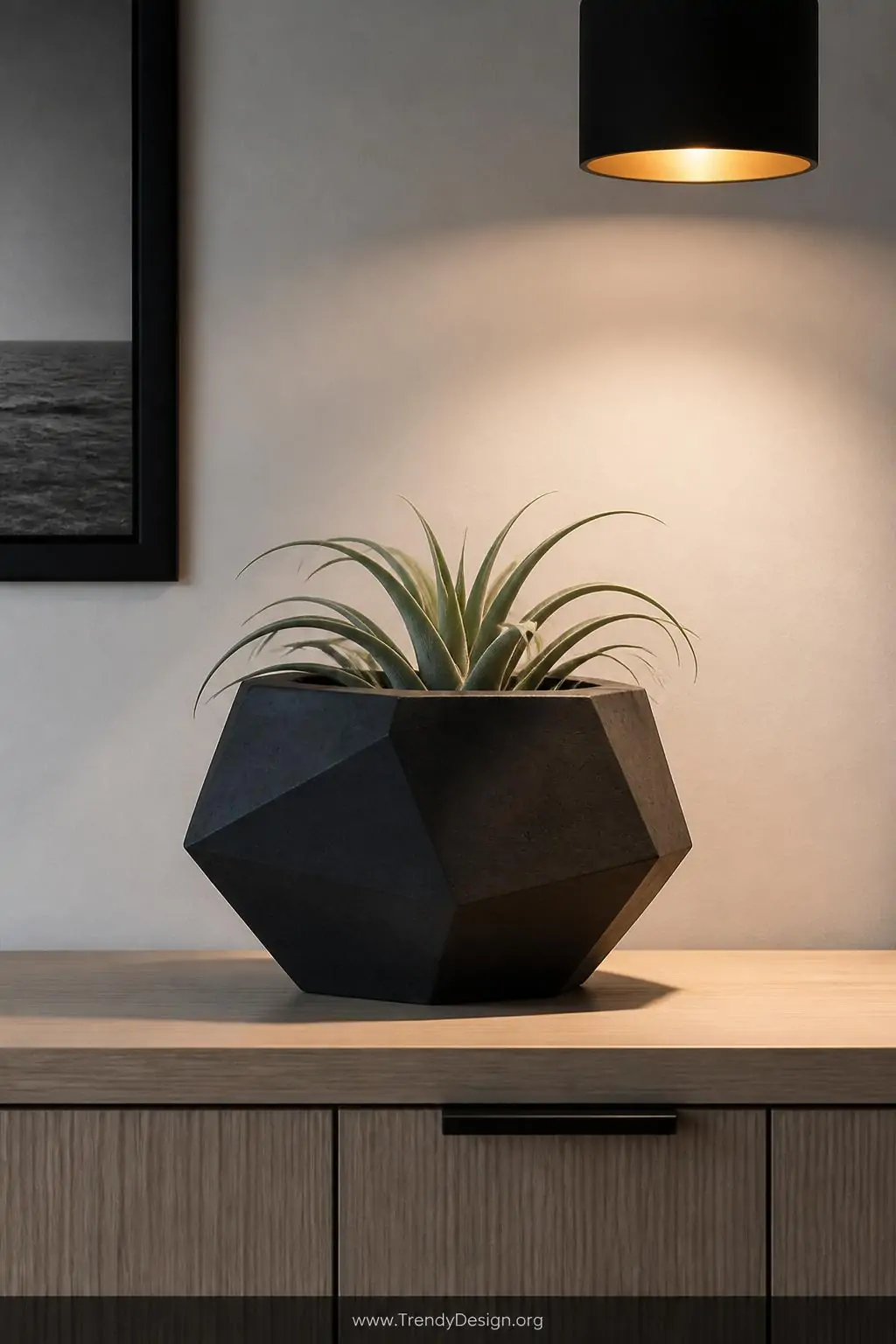 A dramatic closeup of a deep charcoal geometric hexagonal concrete planter sitting on a pale oak console table, holding a sin