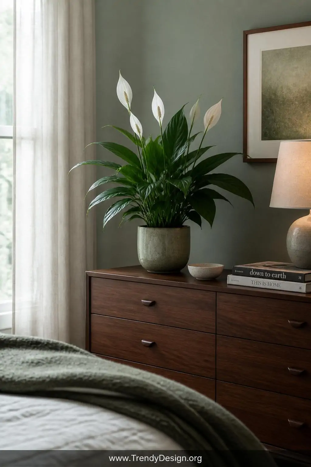 A medium shot of a peace lily on a mid-century modern walnut dresser in a bedroom with muted sage-green walls, elegant white 