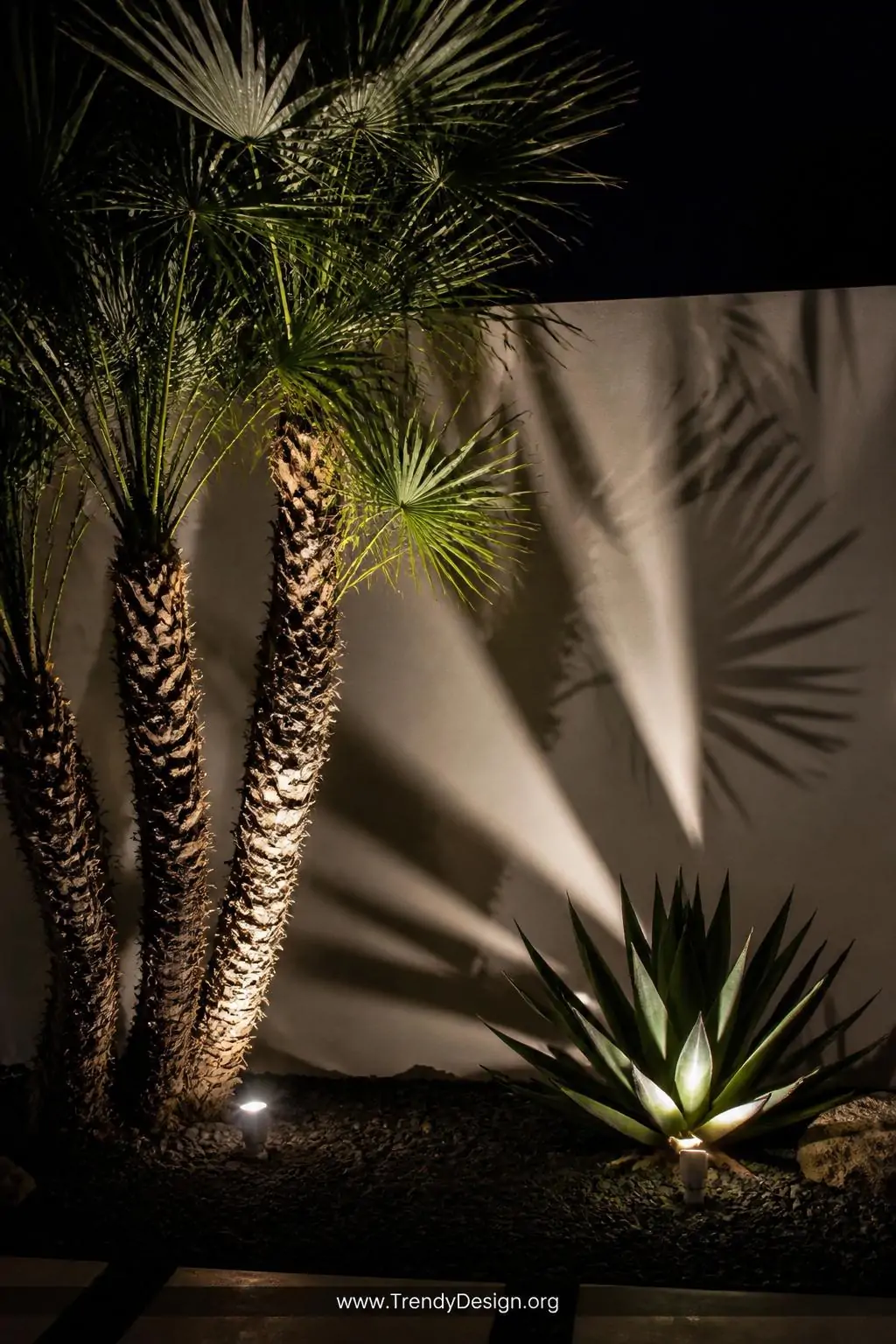 A dramatic medium photorealistic shot of a sculptural multi-trunk palm tree and spiky agave plant photographed from ground le