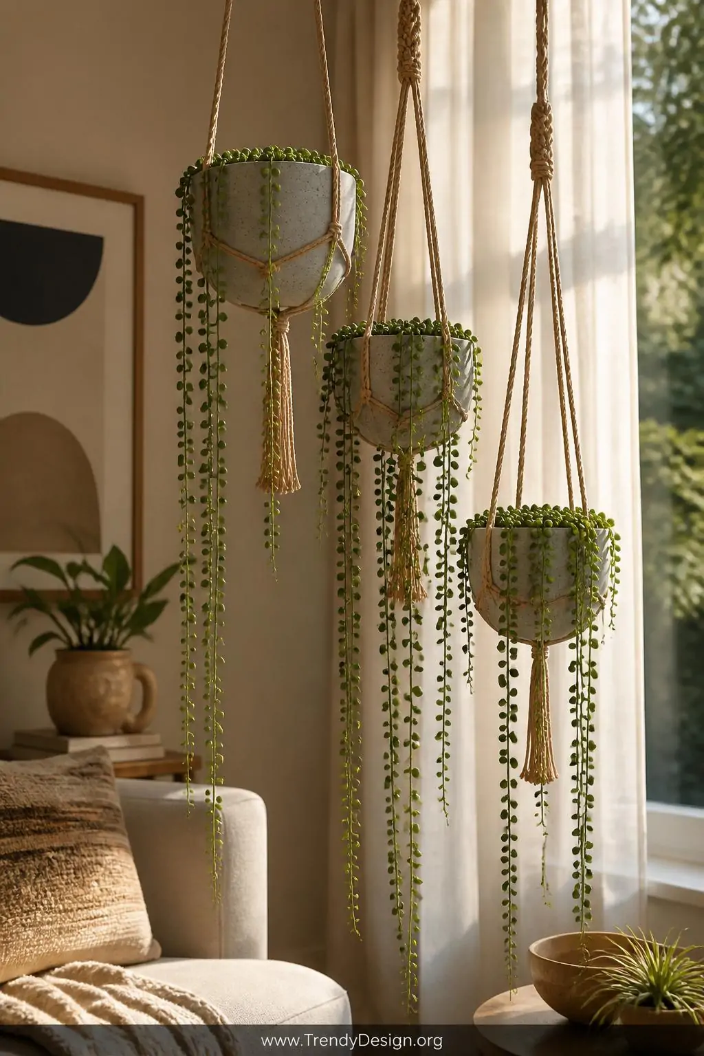 A wide shot of three hanging concrete planters suspended at staggered heights near a bright living room window, cradled in wa