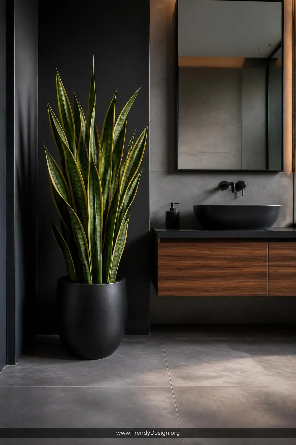 Tall snake plant with bold yellow-edged upright leaves in a matte black ceramic pot positioned in a bathroom corner beside a sleek wall-mounted vanity, cool gray concrete floor tiles, dramatic side lighting, wide shot.