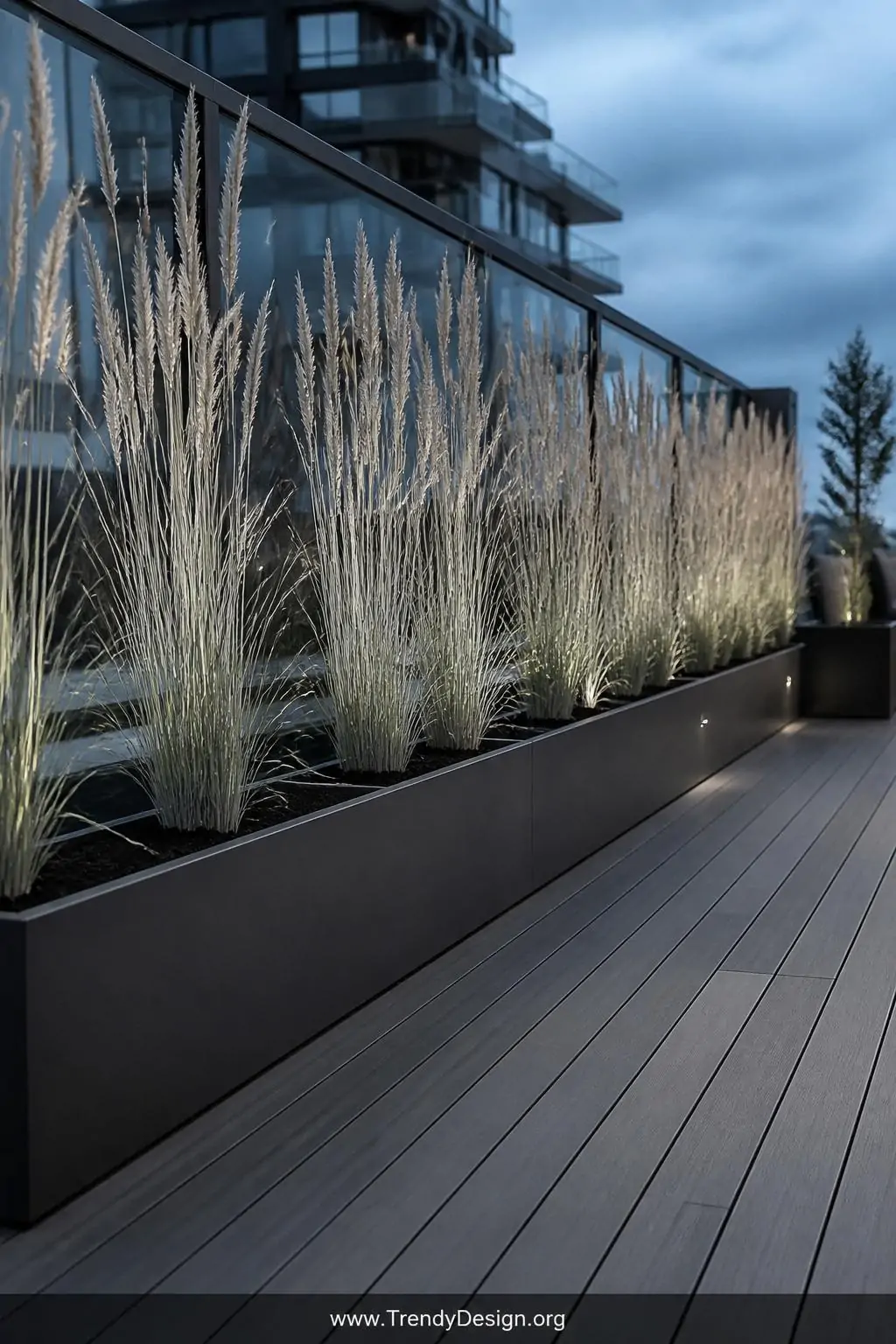 A medium-distance shot of long low matte black rectangular concrete troughs lining a sleek modern timber deck edge, planted w