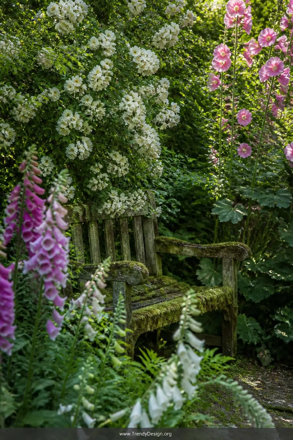 Moss-covered weathered oak bench half-hidden among tall foxgloves, pink hollyhocks and scrambling white climbing roses, dappled light filtering through flowering shrubs, slightly overgrown and romantically discovered, medium shot, photorealistic garden photography.