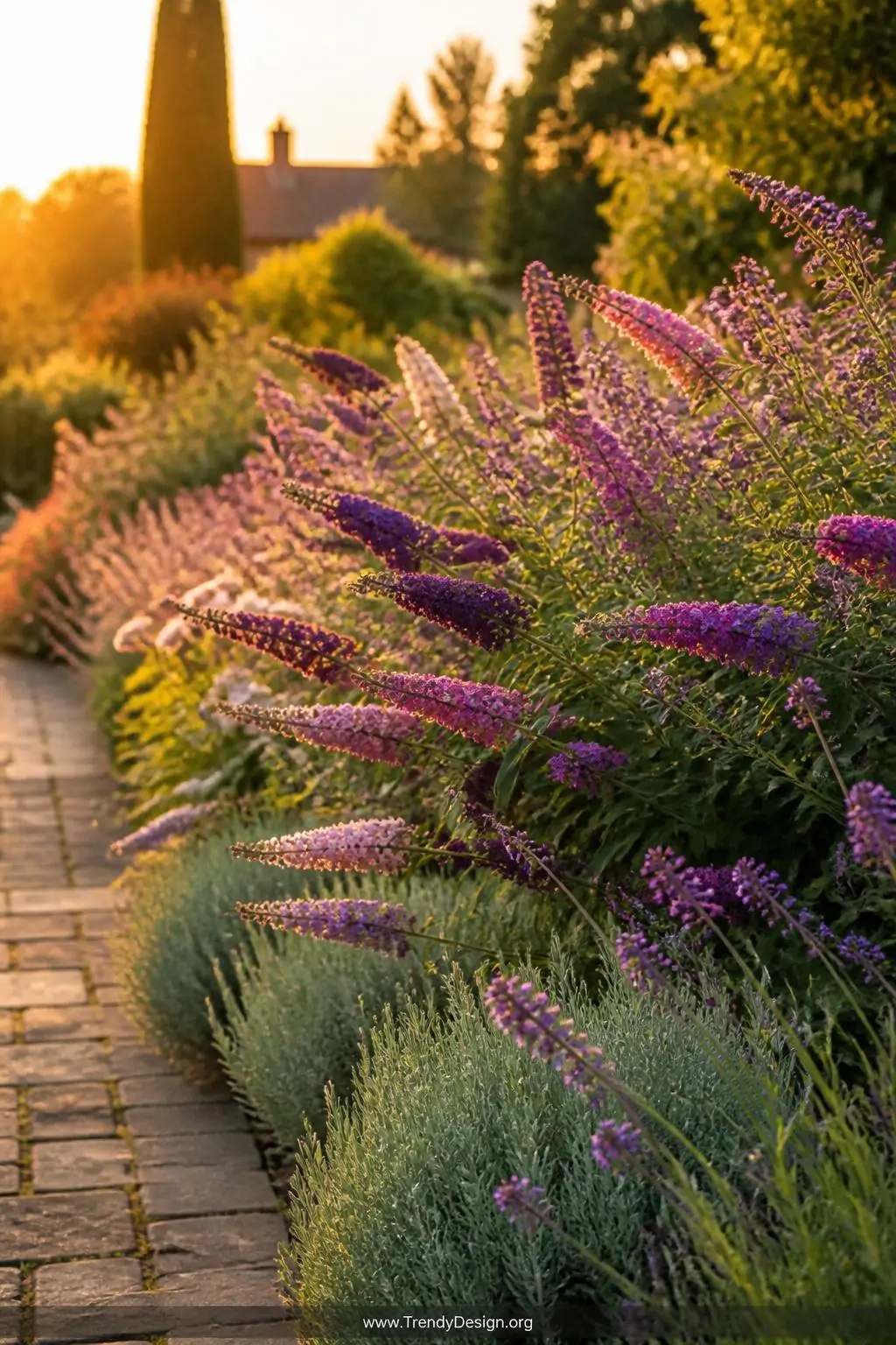 Lush butterfly bush border lining a garden pathway with deep purple and soft pink Buddleja flower spikes, interspersed with silver-green lavender and violet verbena stems, glowing in warm late-summer golden hour light, wide shot showing the full colorful border receding into soft bokeh, photorealistic garden photography.