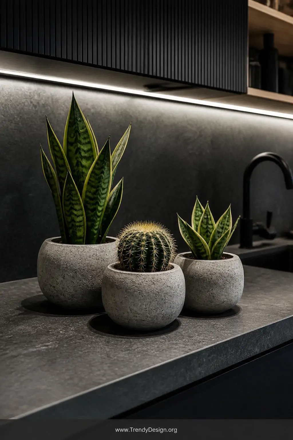 Three small chunky concrete planters grouped on a dark kitchen counter, each holding a sculptural snake plant or round cactus, the rough grey texture sharply contrasting against vibrant green foliage under cool under-cabinet lighting, medium shot, photorealistic interior design.