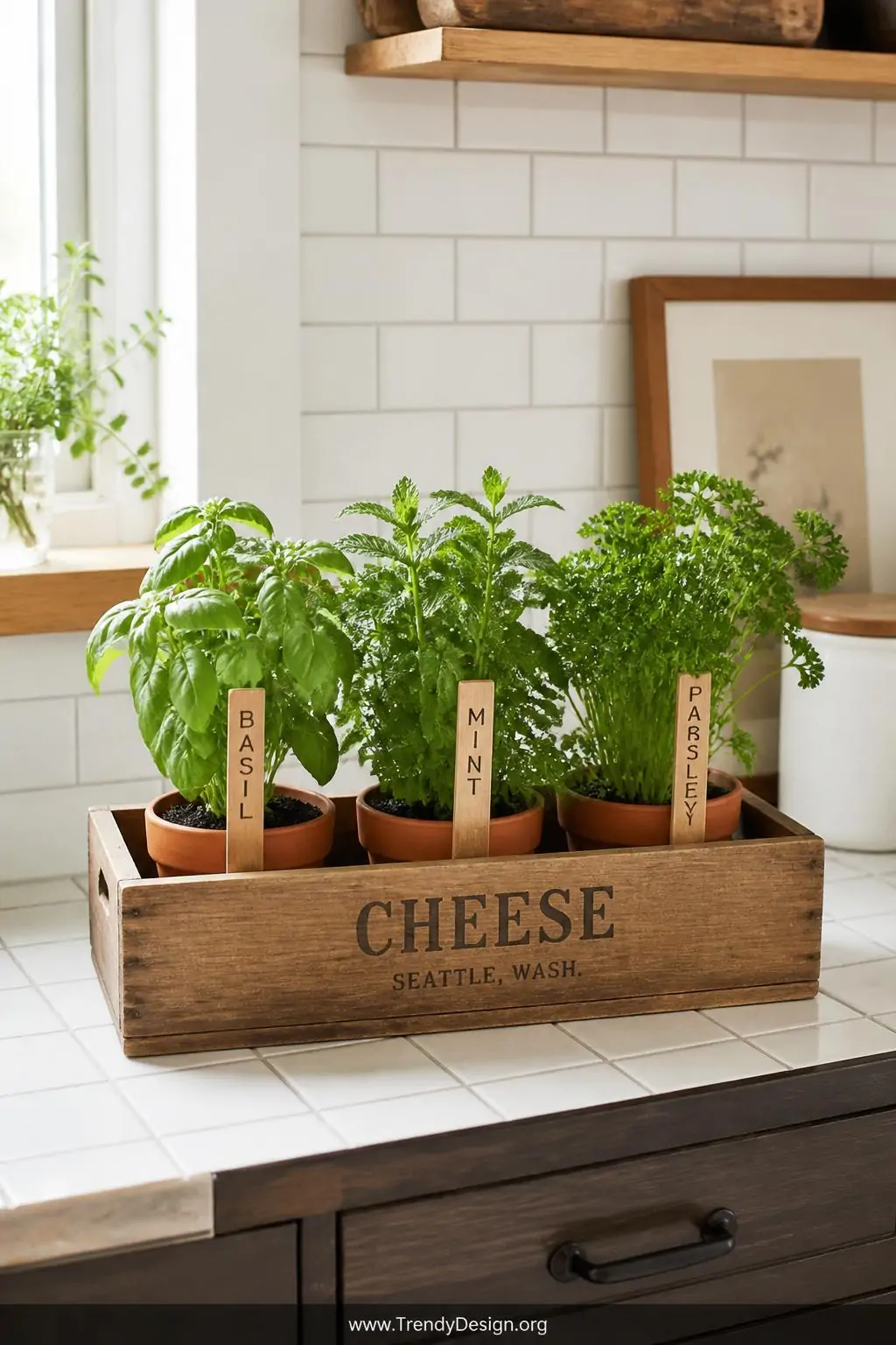 Rectangular wooden cheese box holding three terracotta herb pots labeled with wooden tags growing fresh basil, mint, and parsley on a white subway tile kitchen counter, bright natural daylight, organized farmhouse kitchen style, medium shot