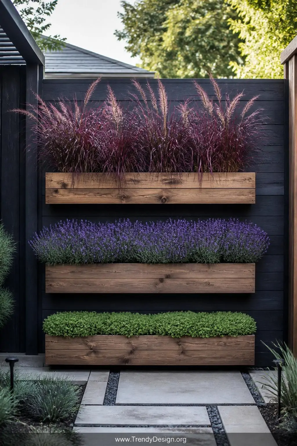 Tiered cedar vertical planter boxes mounted in stacked rows on a charcoal-stained fence in a structured contemporary backyard garden, architectural outdoor style, tall purple ornamental grasses crowning the top tier, soft lavender flowering plants filling the middle, and dense low-growing emerald sedum blanketing the bottom boxes, crisp even daylight revealing every wood grain detail, wide shot.