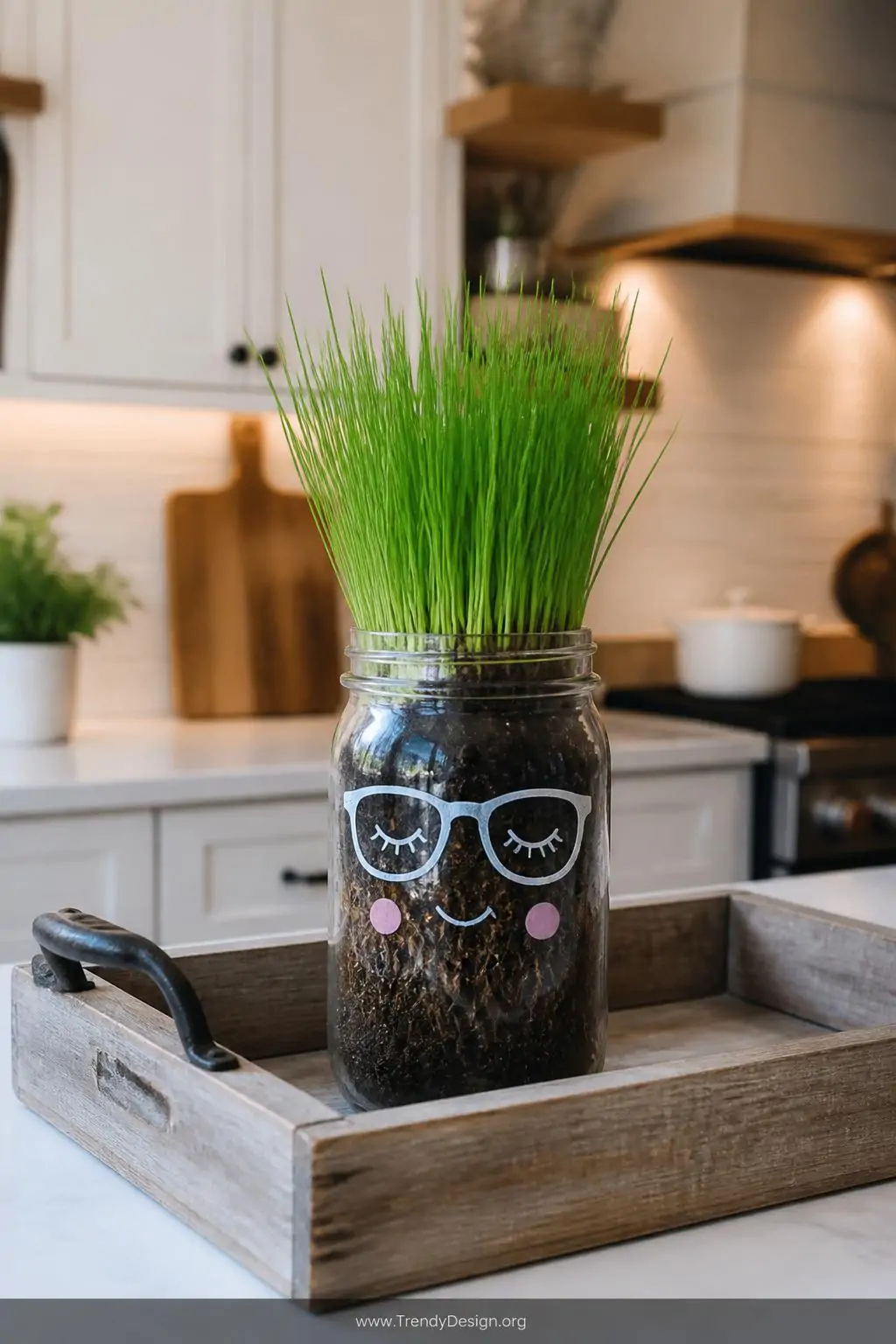 Wide-mouth mason jar with a chalk-marker face showing rosy cheeks and painted glasses sitting on a weathered wooden tray on a kitchen counter, warm ambient light, visible soil and white roots through clear glass with bright green grass growing tall from the top, medium shot.